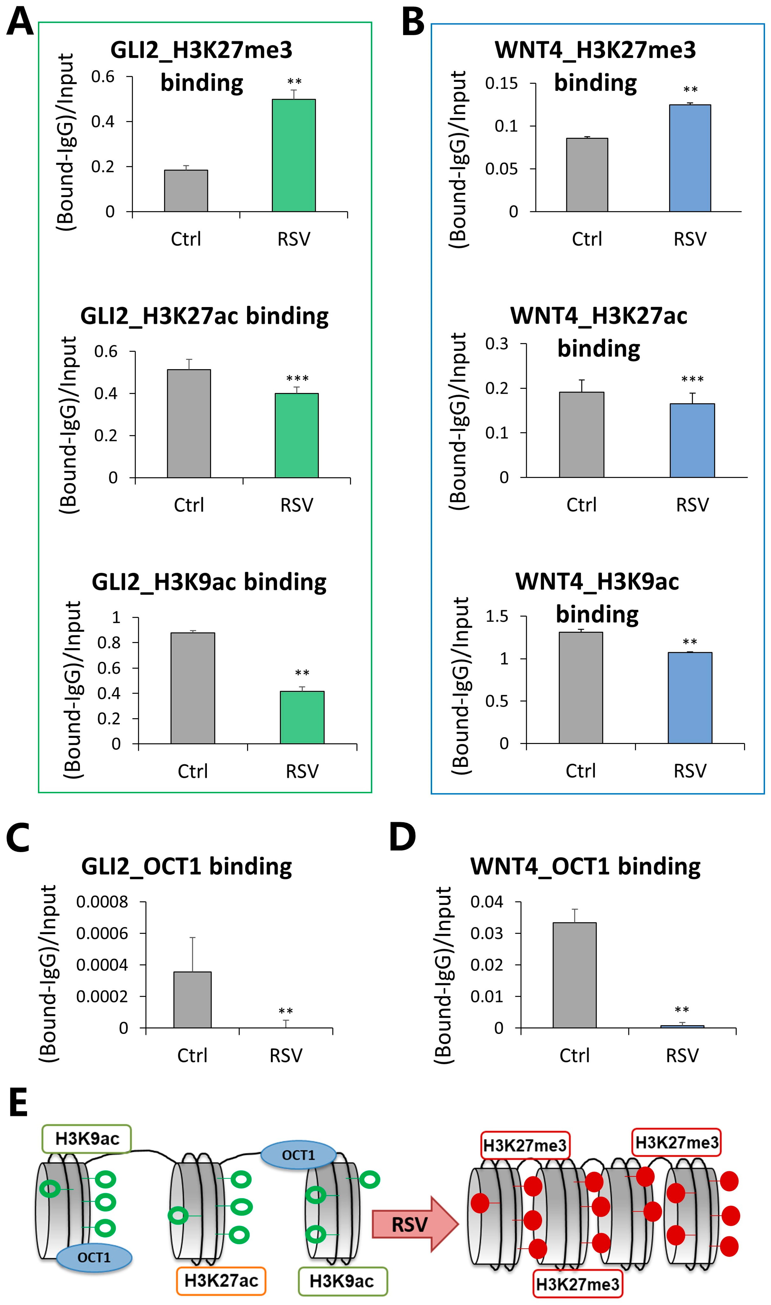 Nutrients 16 00699 g004