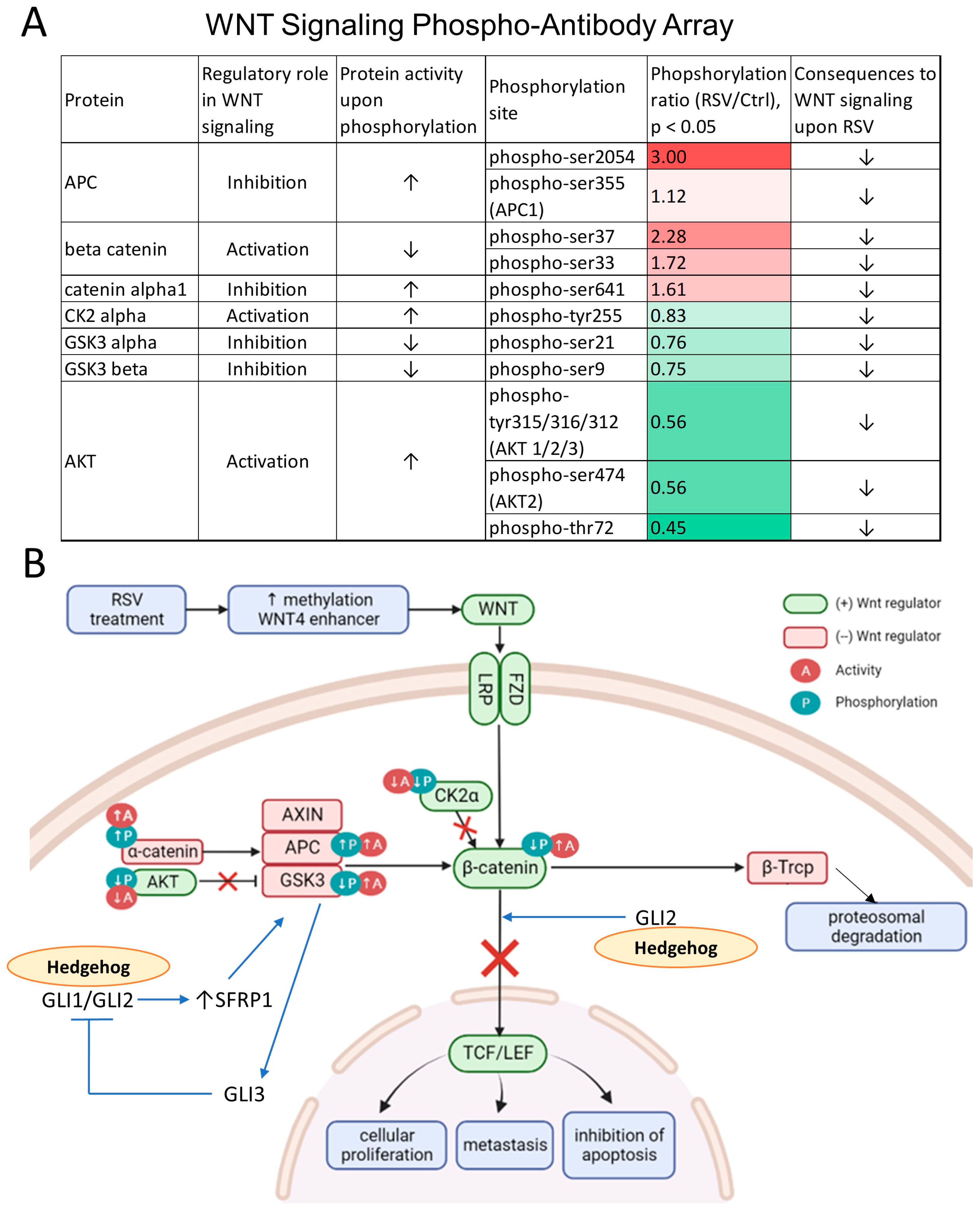 Nutrients 16 00699 g005