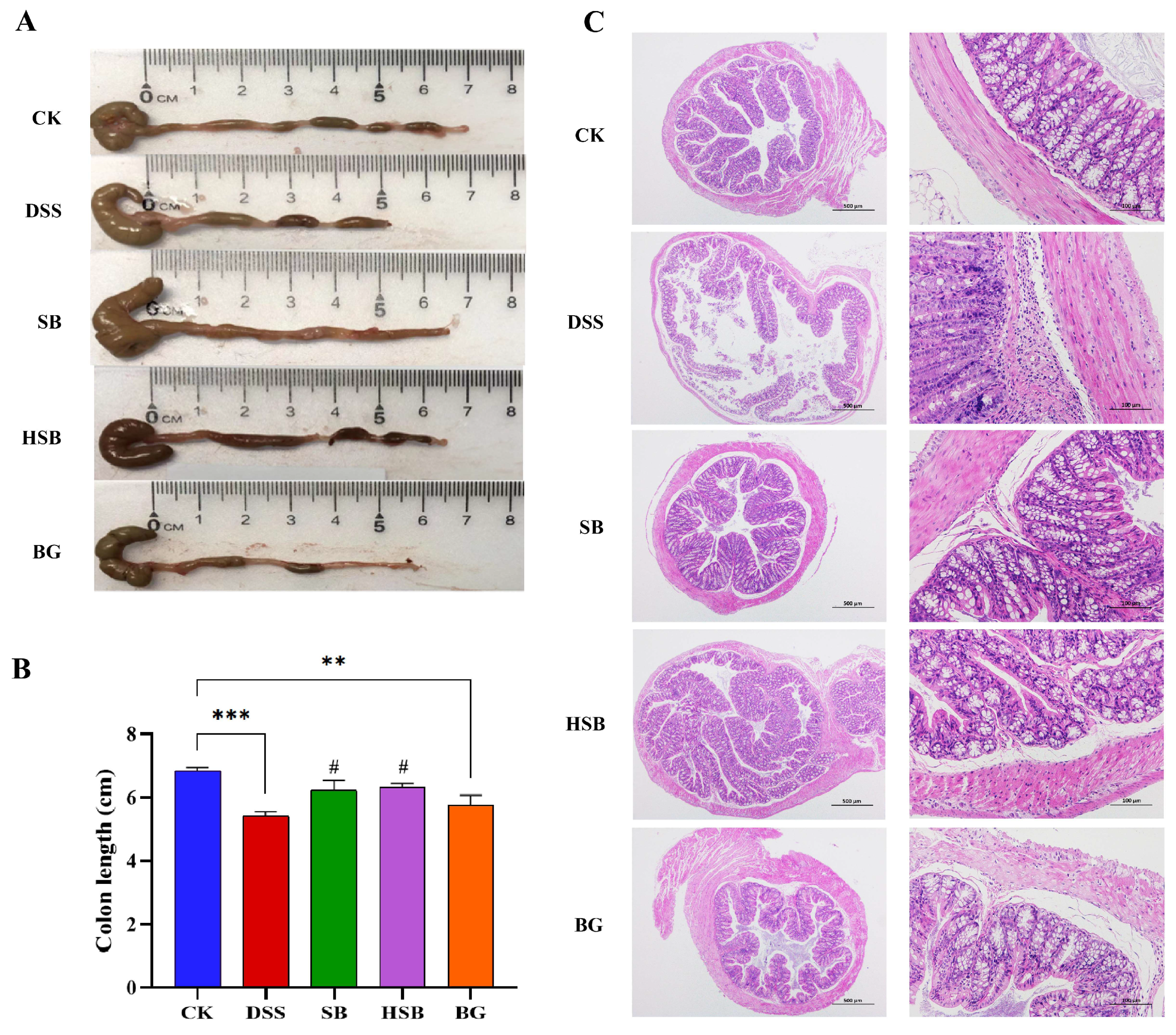Nutrients 16 00702 g003