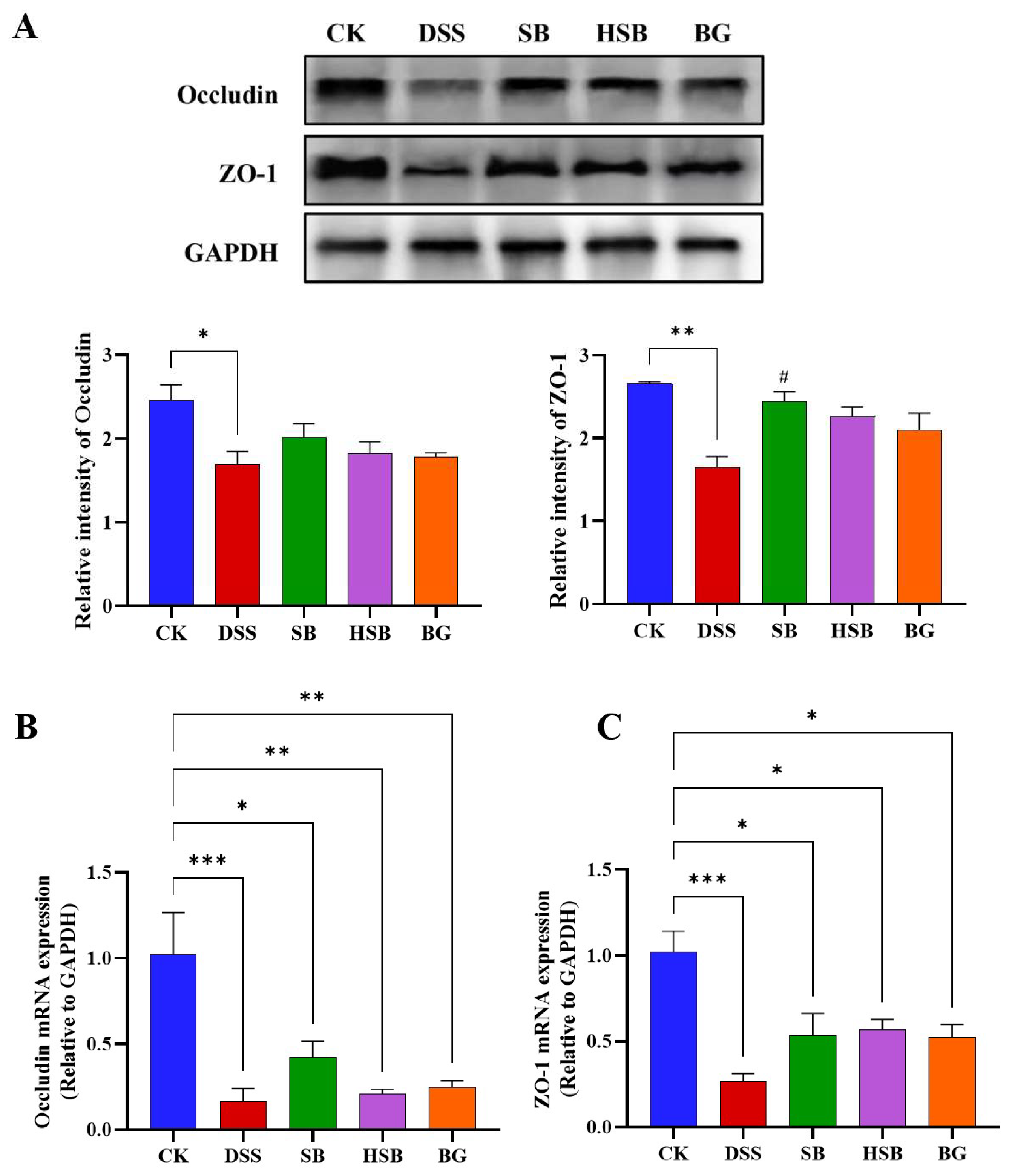 Nutrients 16 00702 g004