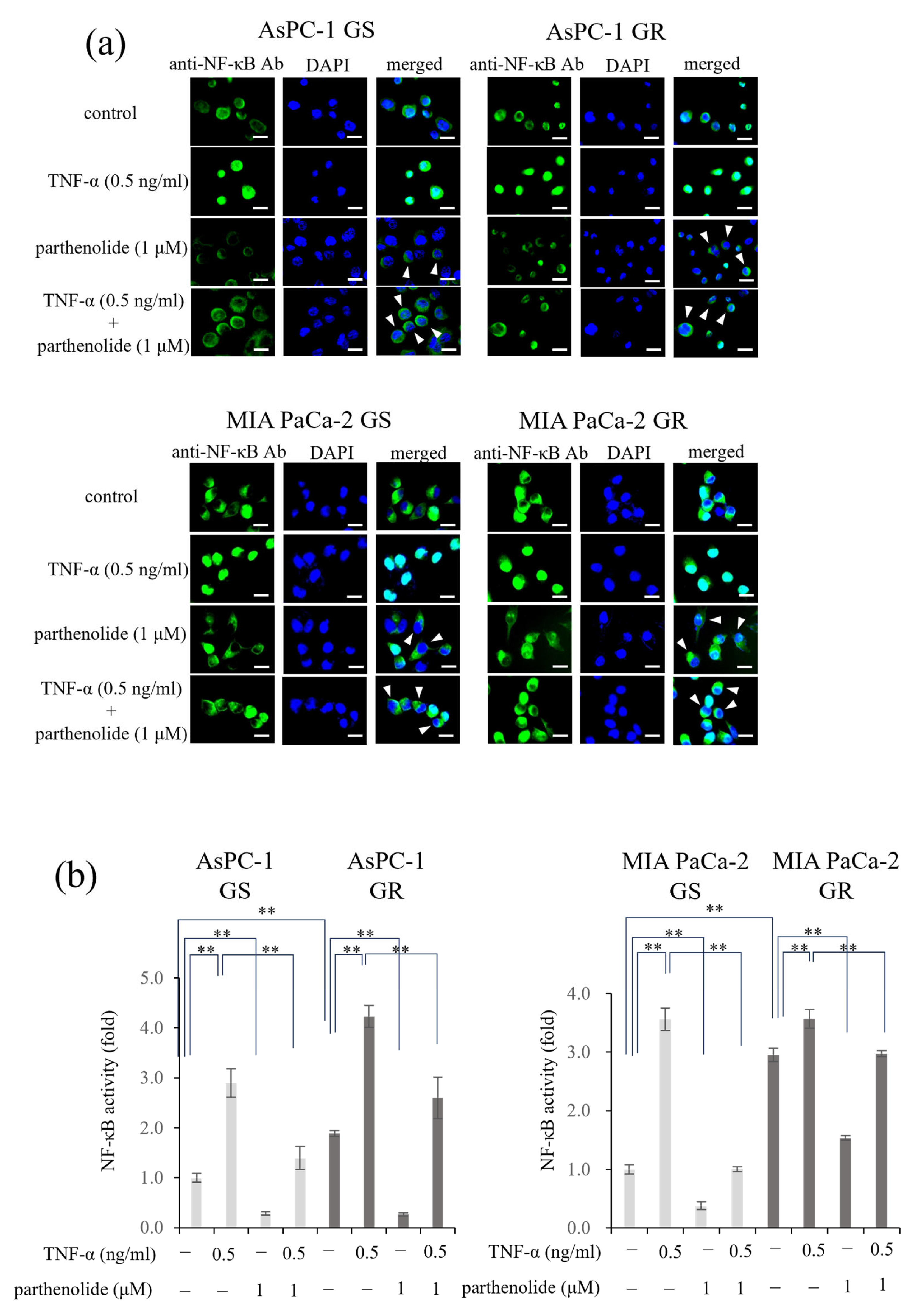 Nutrients 16 00705 g002 Nutrients 16 00705 g002