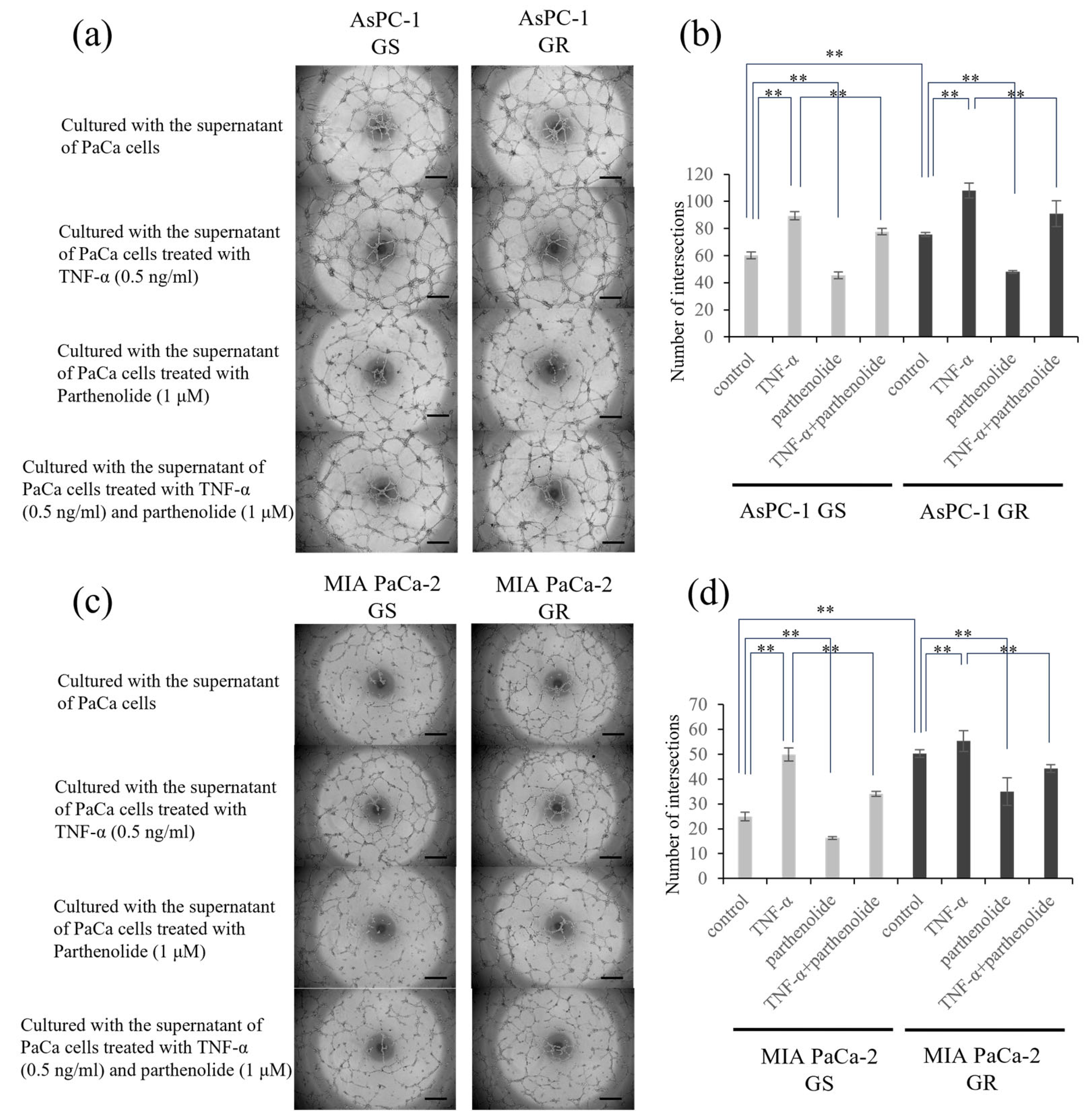Nutrients 16 00705 g004 Nutrients 16 00705 g004
