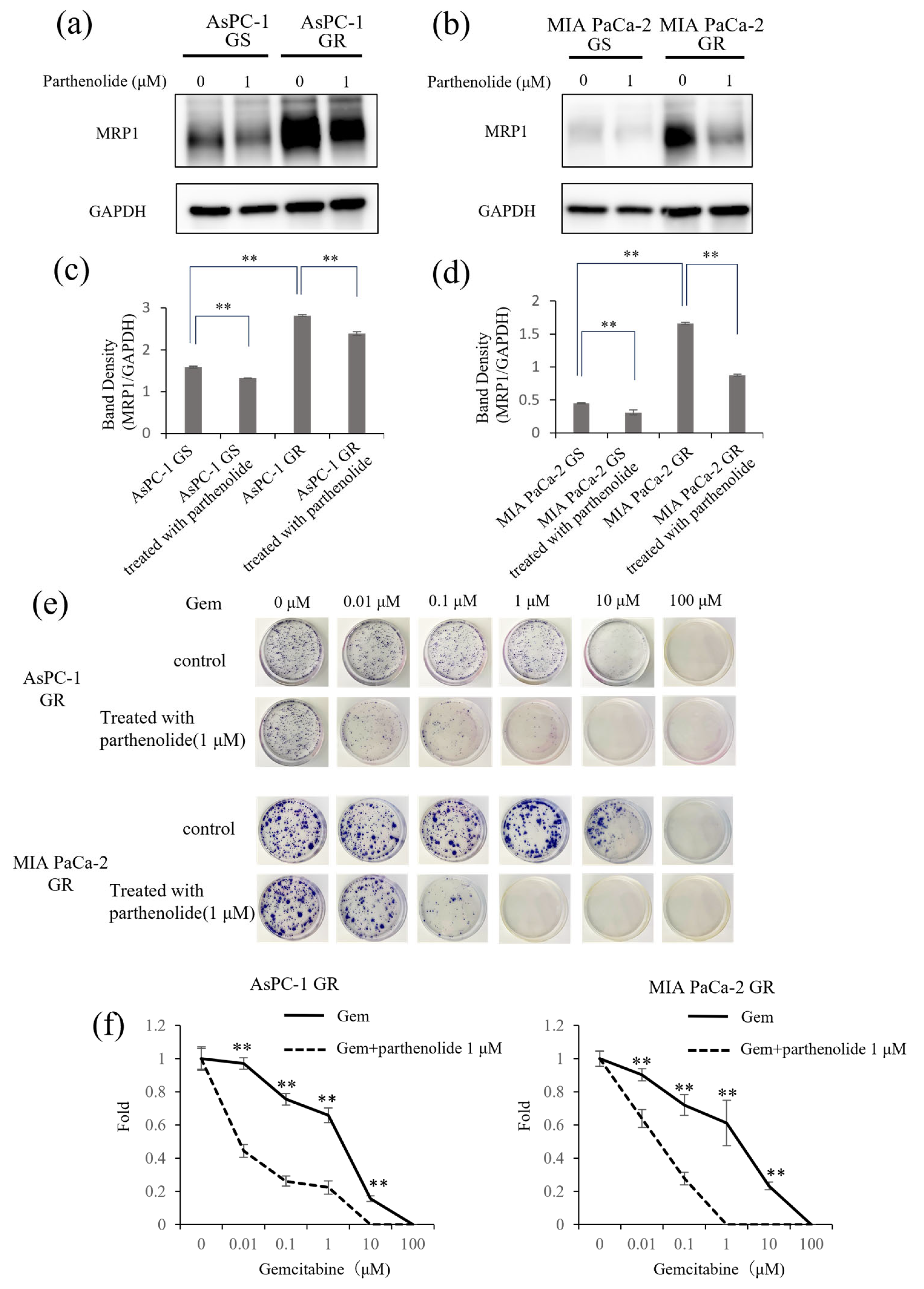 Nutrients 16 00705 g006 Nutrients 16 00705 g006