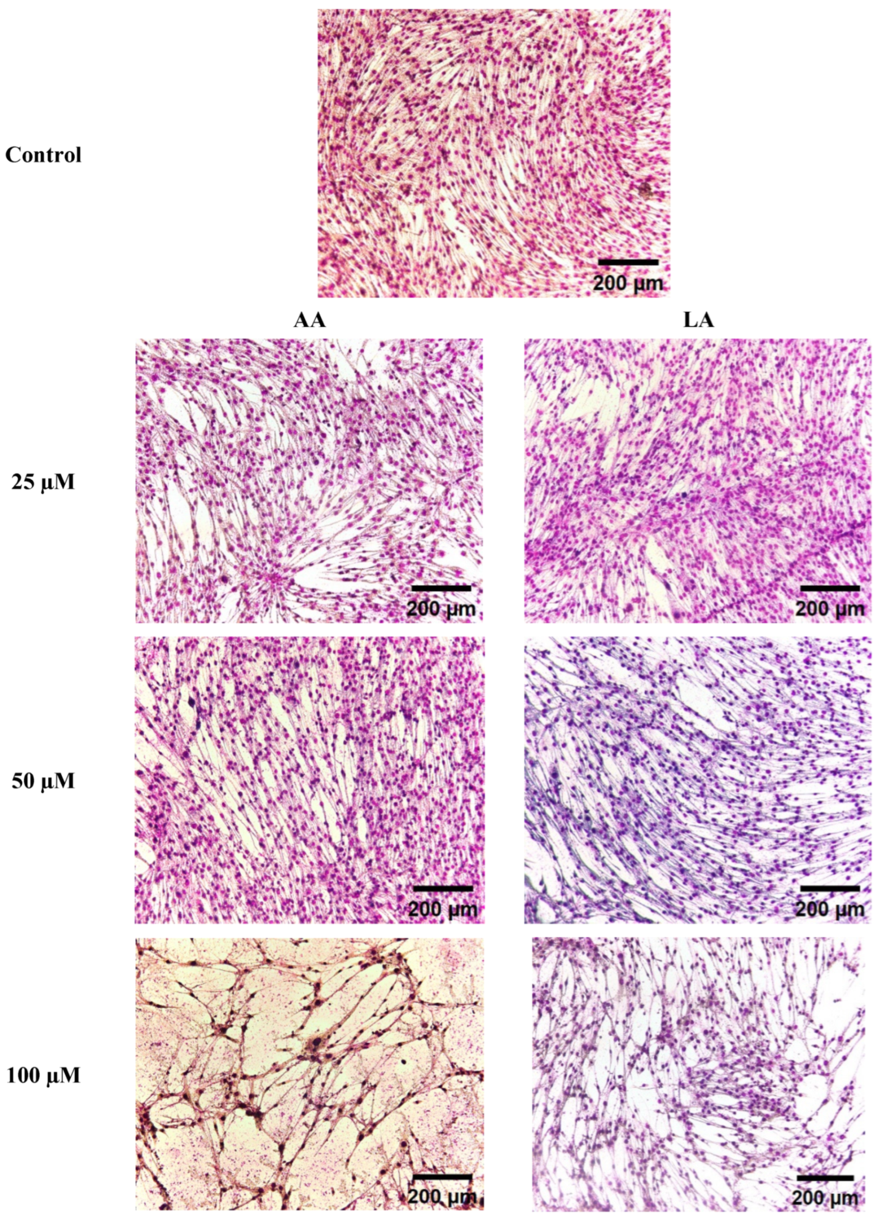 Nutrients 16 00706 g002a