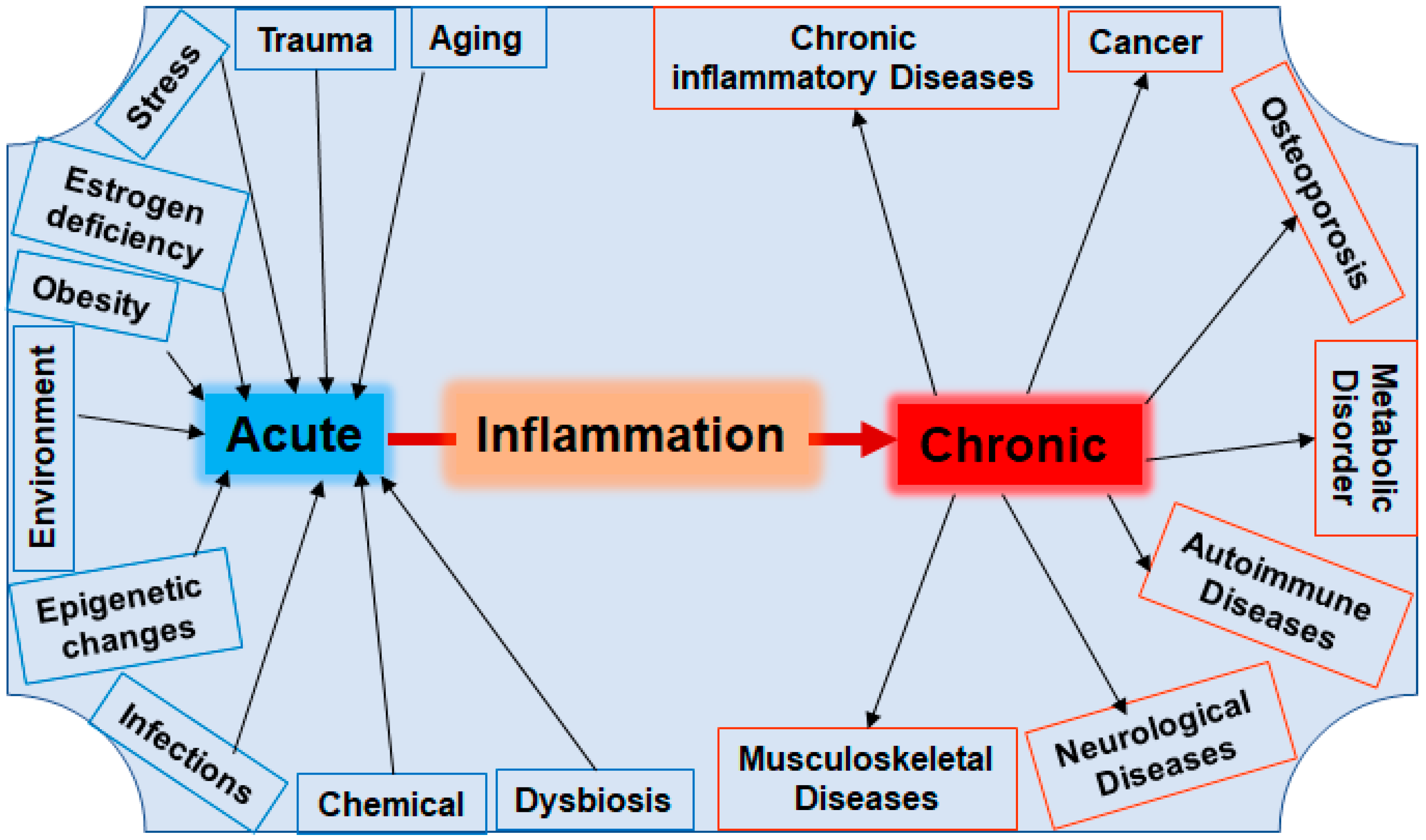 Nutrients 16 00708 g002 Nutrients 16 00708 g002