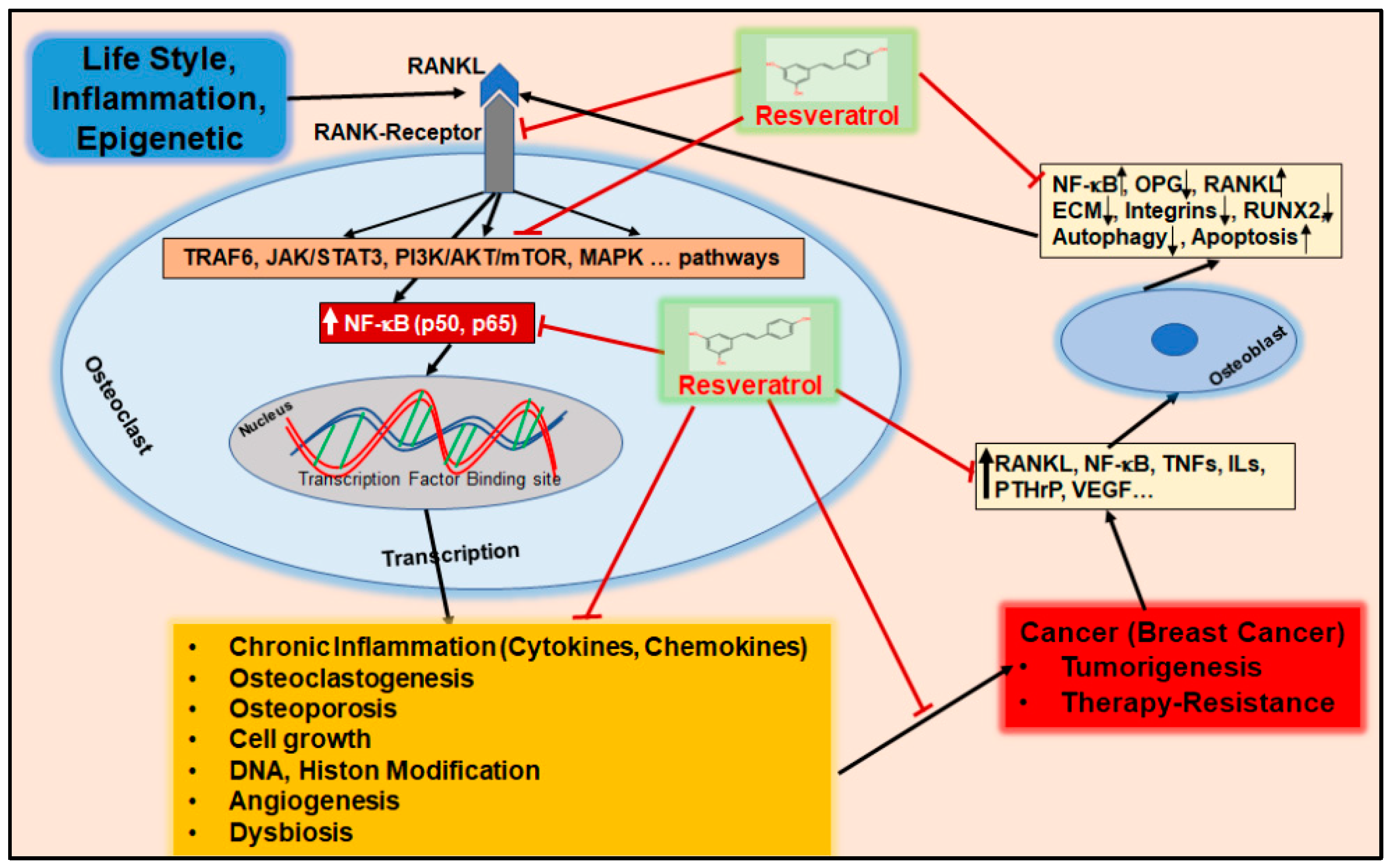 Nutrients 16 00708 g007 Nutrients 16 00708 g007