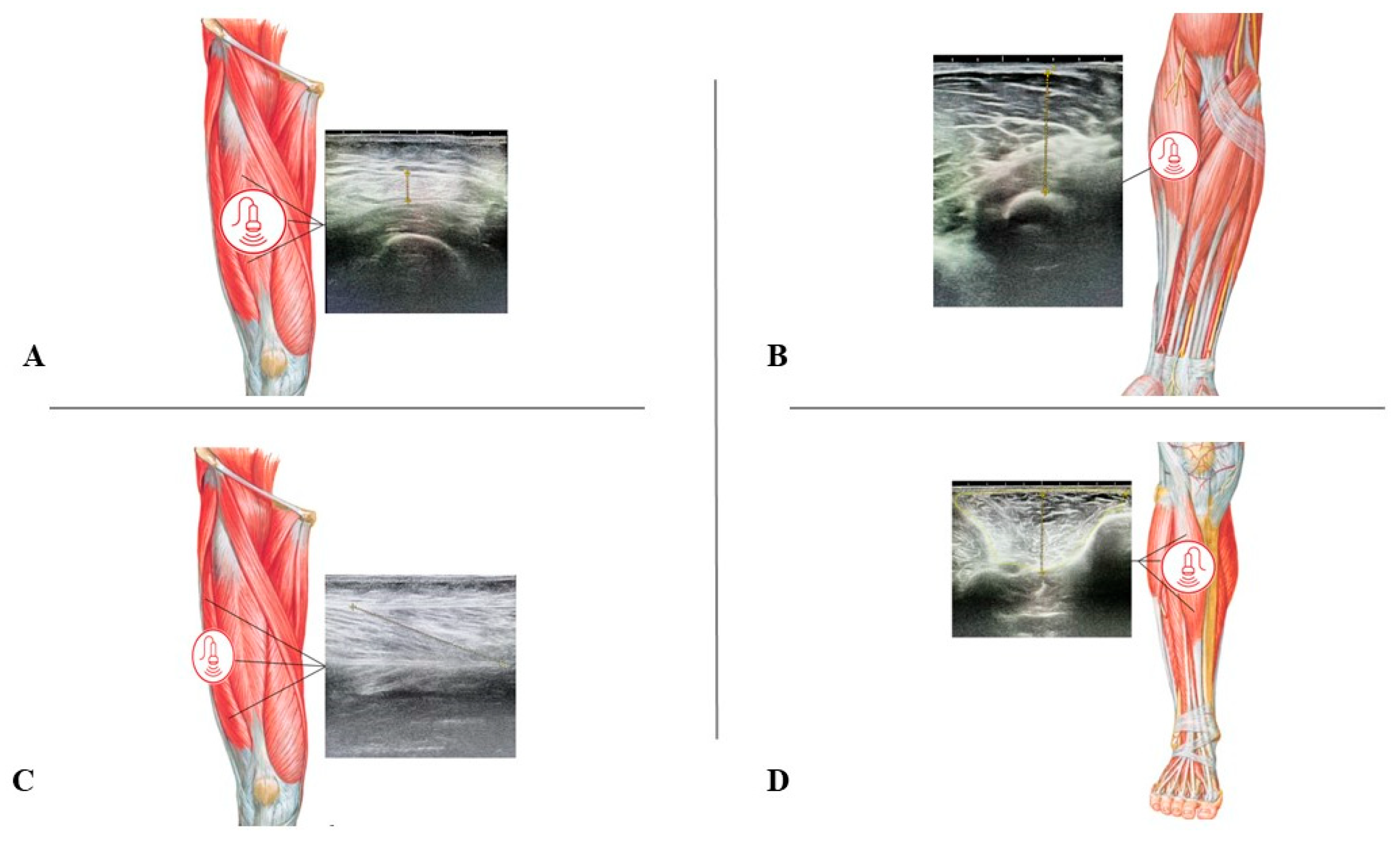 Nutrients 16 00711 g001