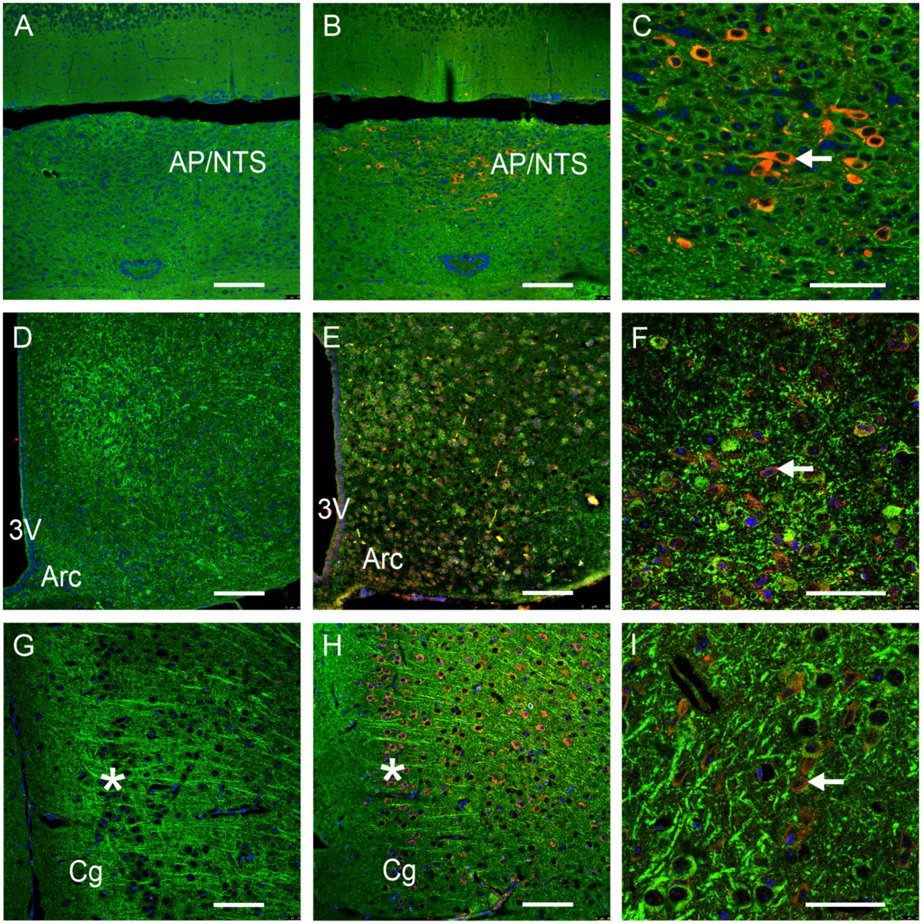 Nutrients 16 00734 g001a Nutrients 16 00734 g001a