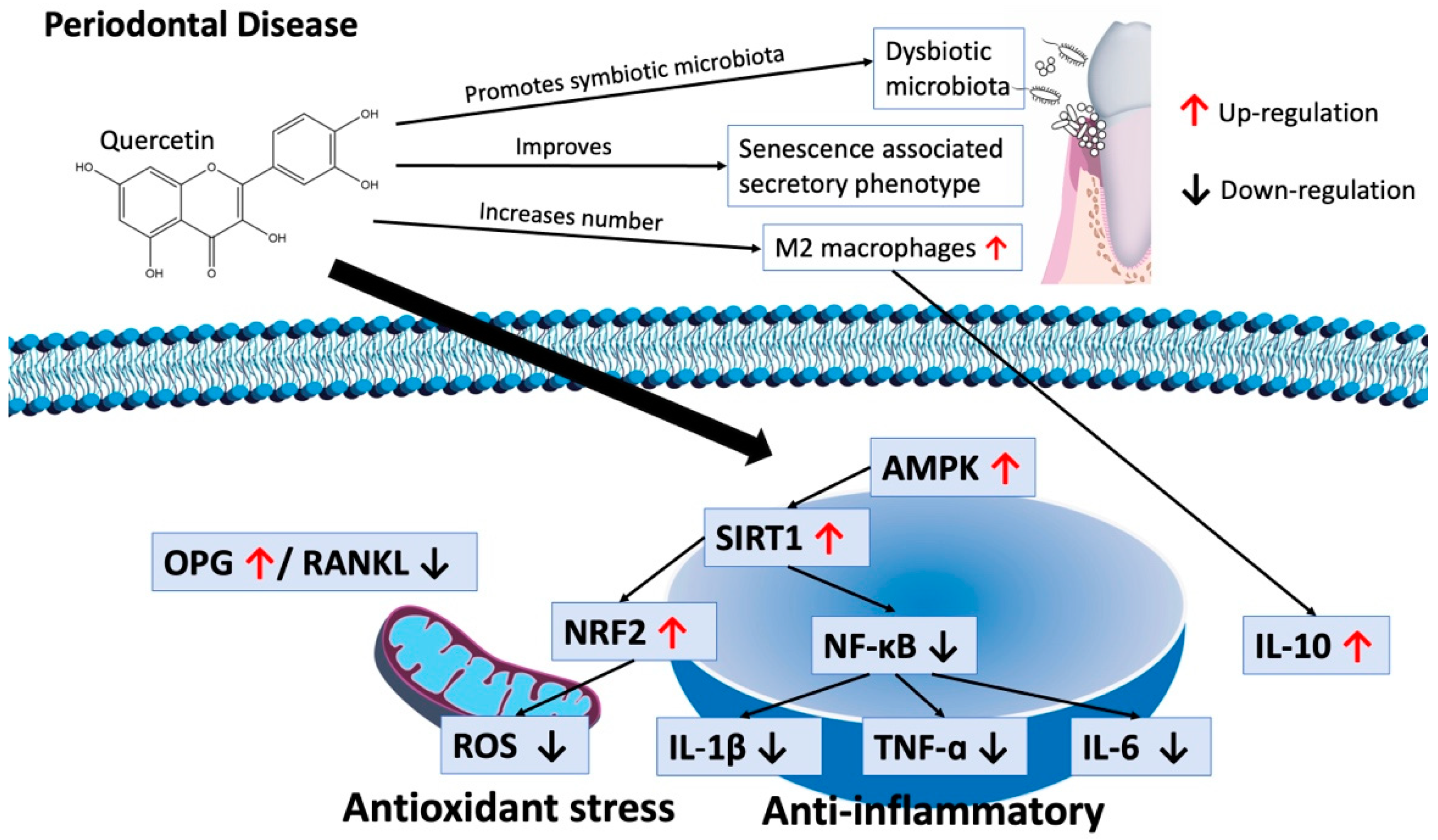 Nutrients 16 00735 g003