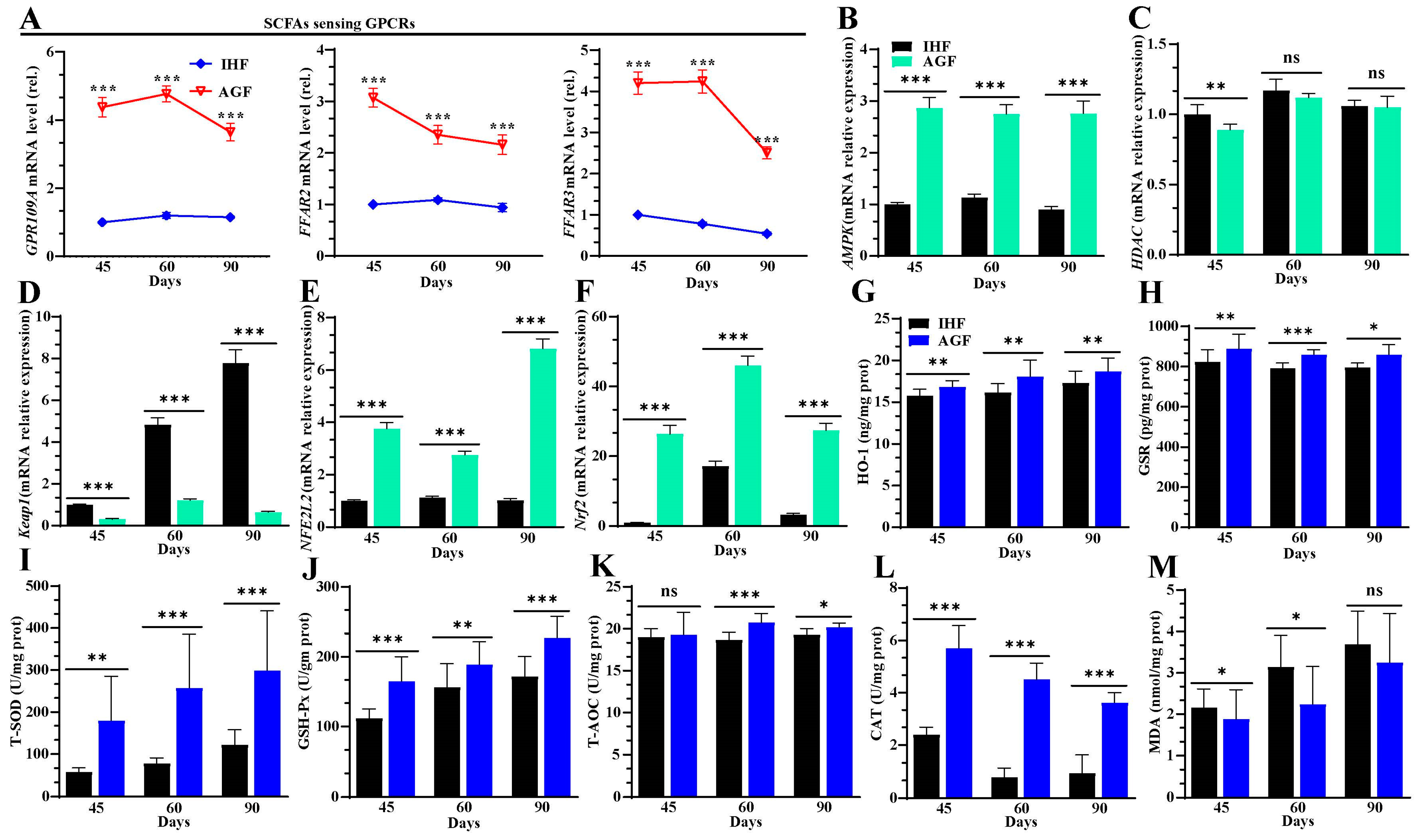 Nutrients 16 00747 g006