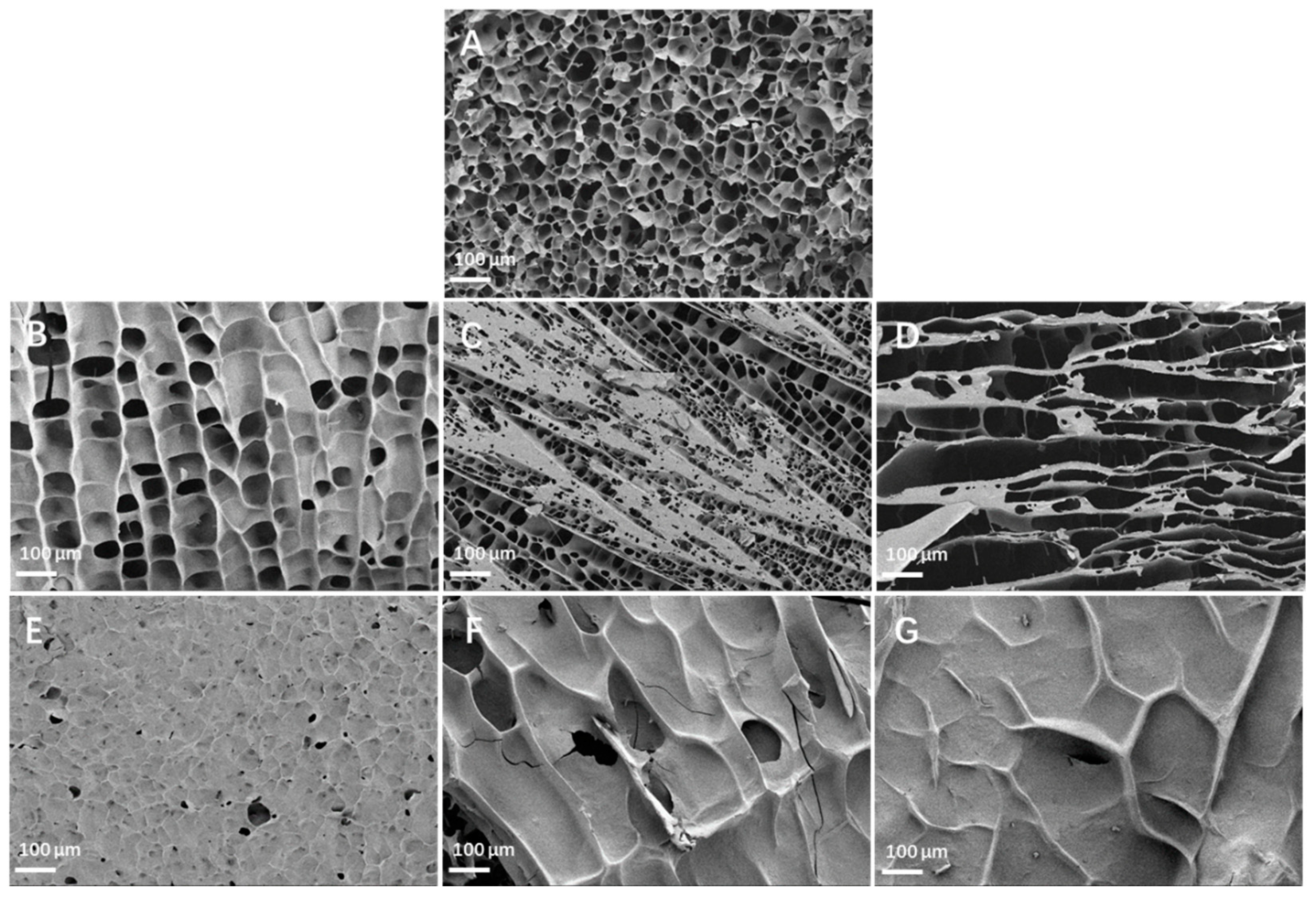 Nutrients 16 00749 g003