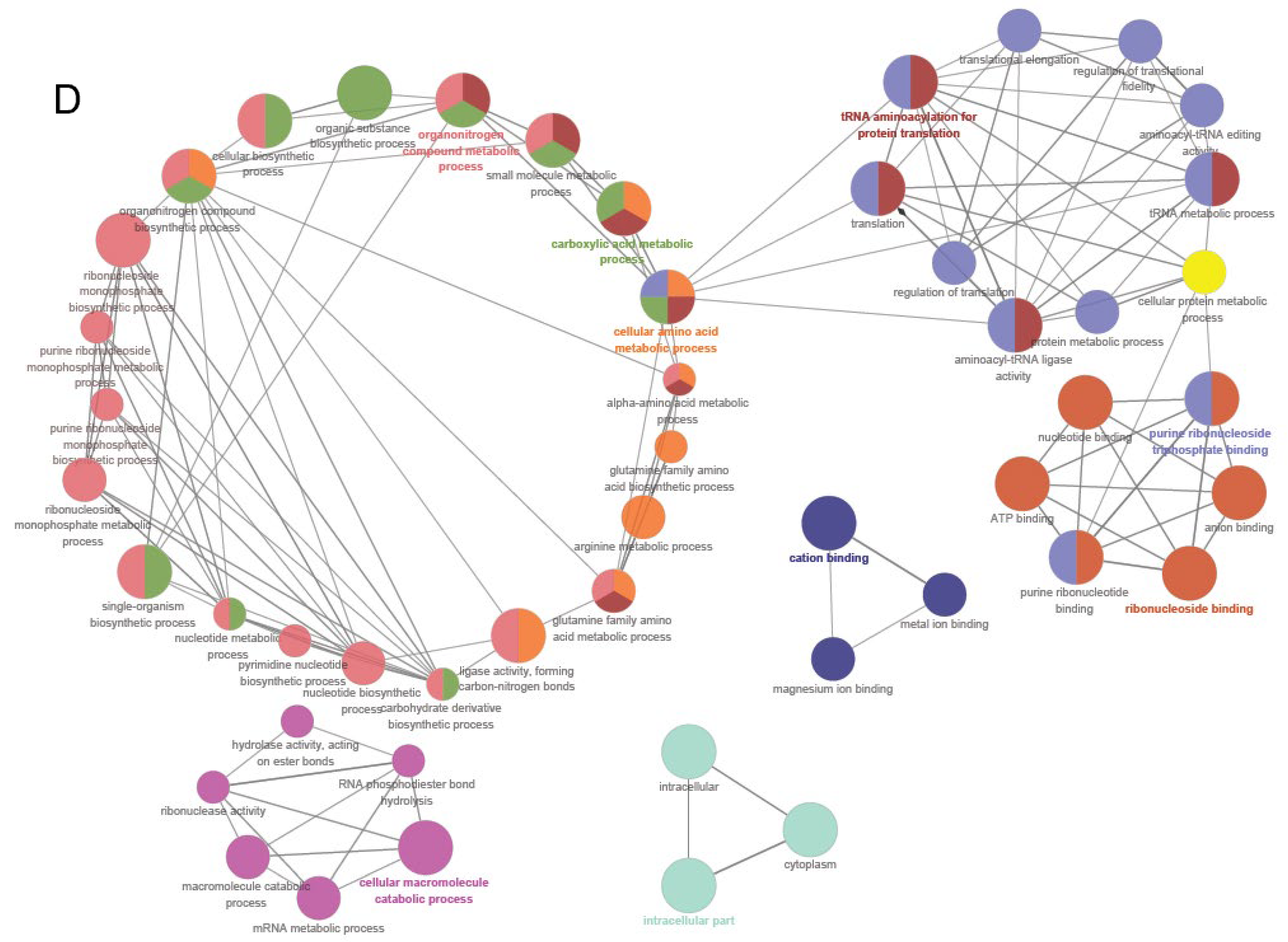 Nutrients 16 00754 g007b Nutrients 16 00754 g007b