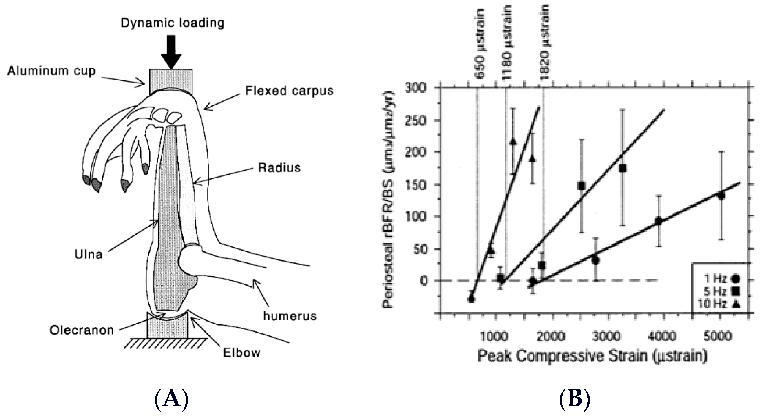 Nutrients 16 00759 g001