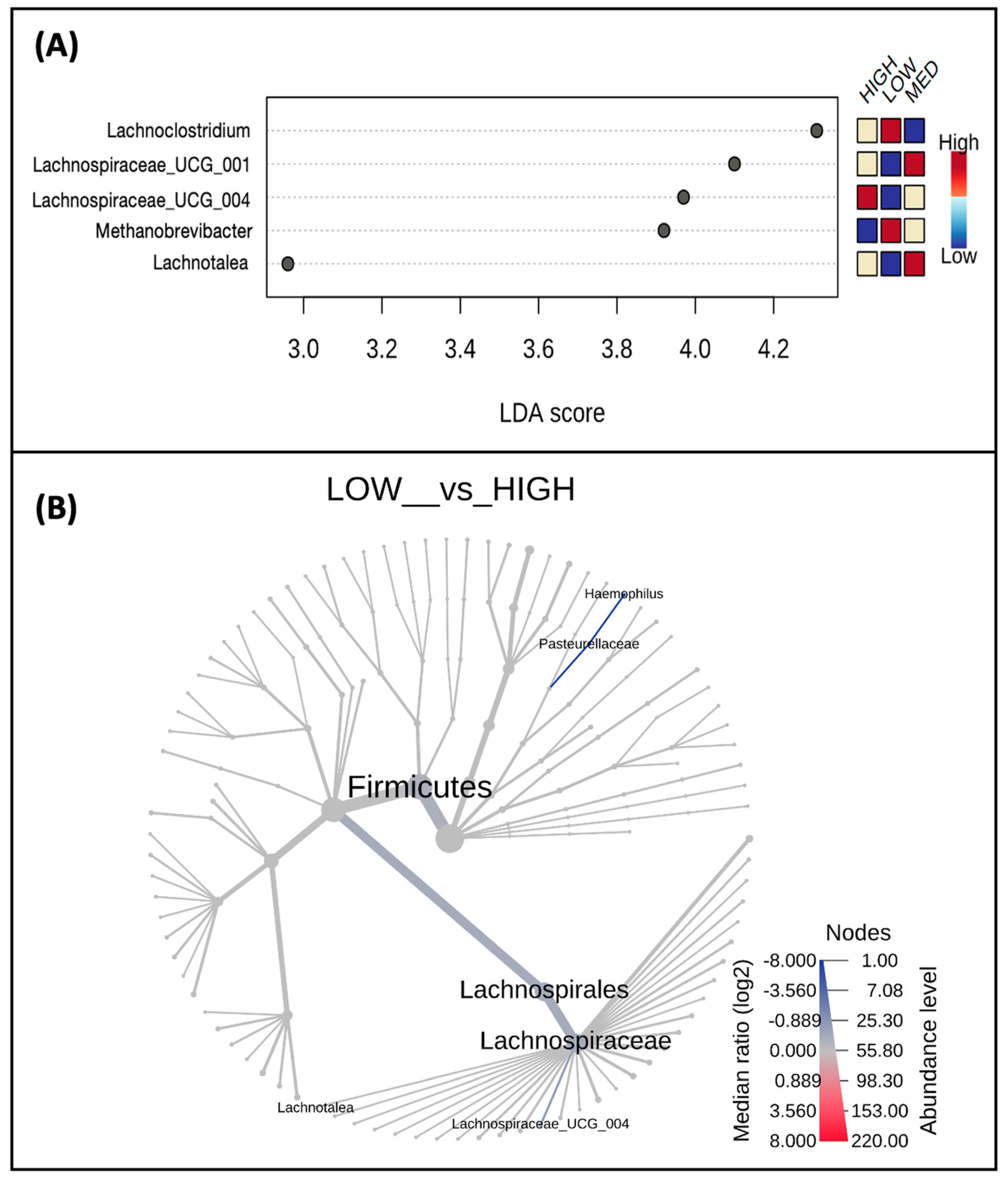 Nutrients 16 00773 g006