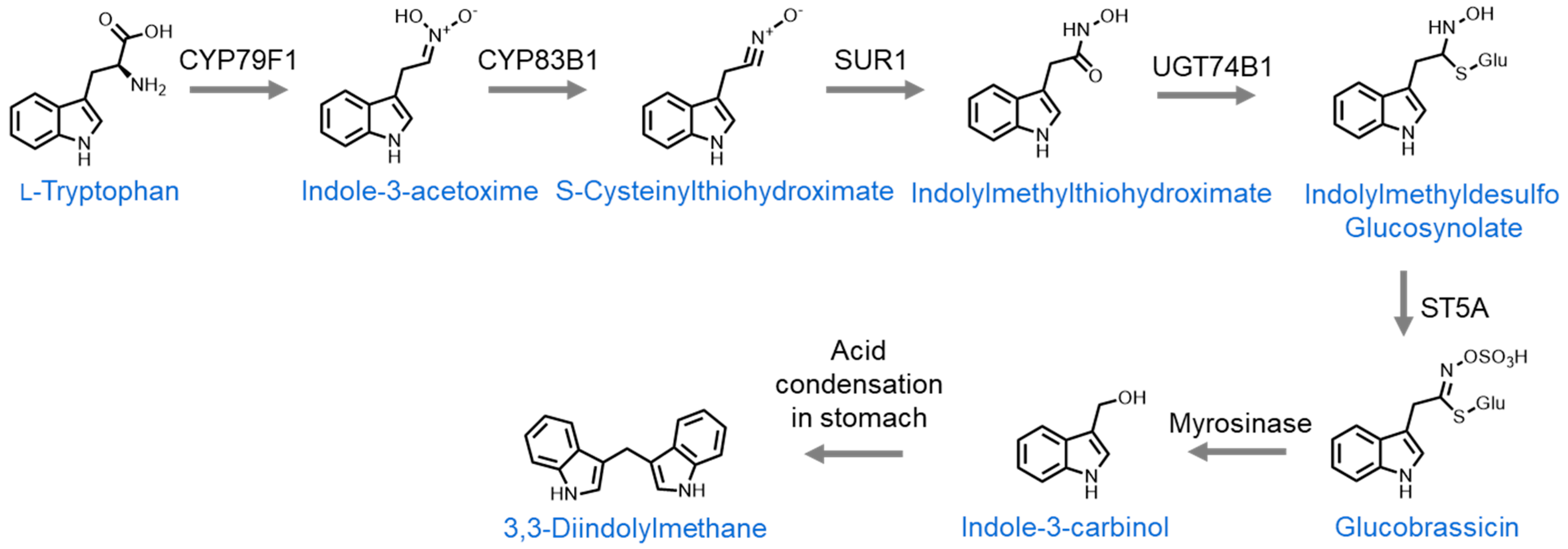 Nutrients 16 00802 g003 Nutrients 16 00802 g003