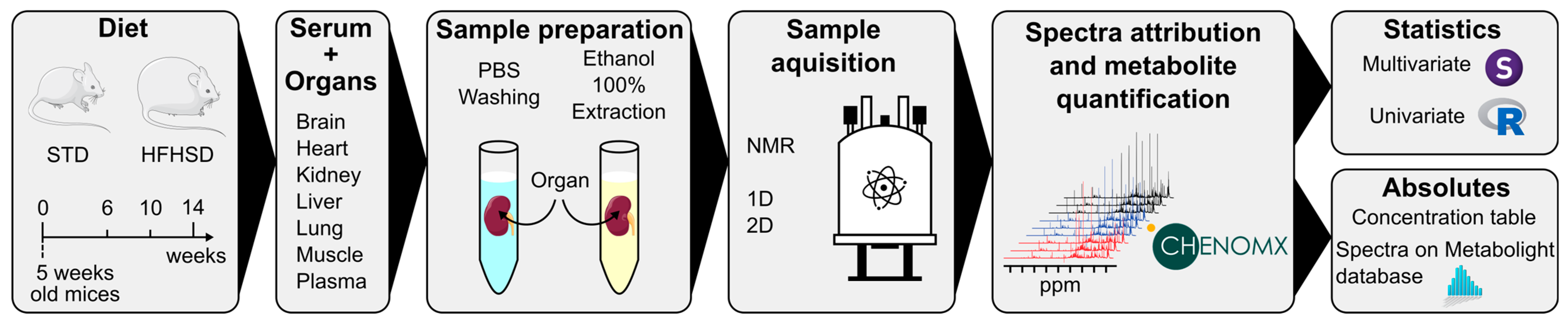 Nutrients 16 00803 g001