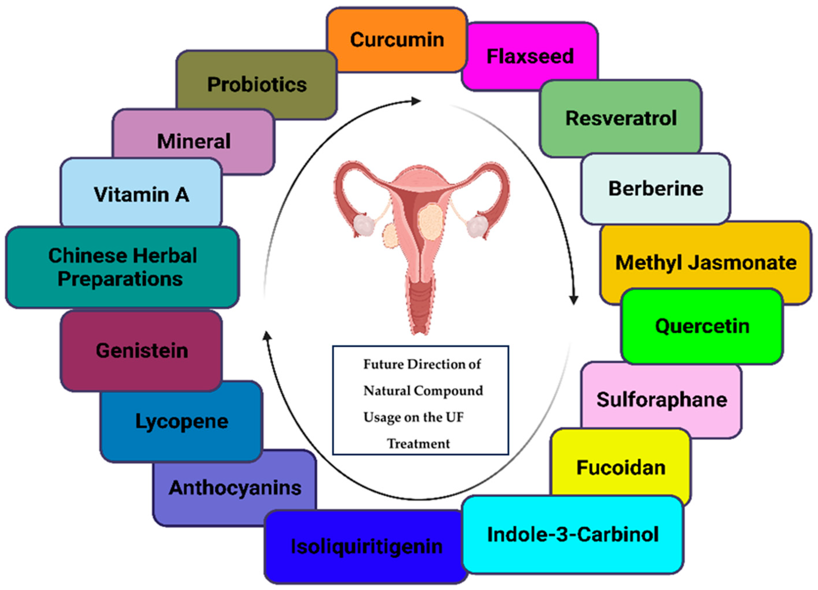 Nutrients 16 00807 g002