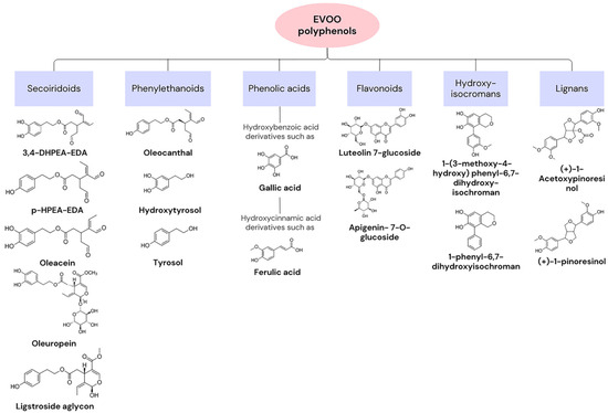 Nutrients 16 00818 g001