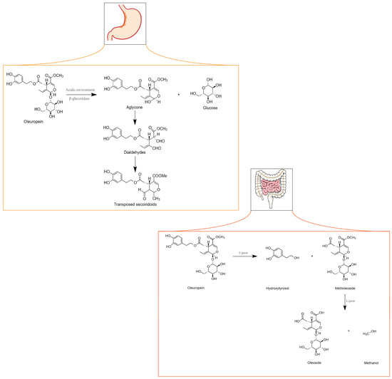 Nutrients 16 00818 g003