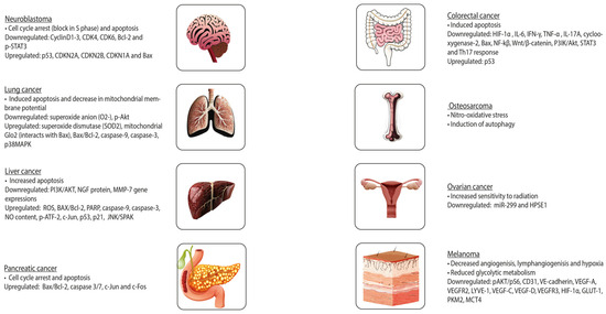 Nutrients 16 00818 g004