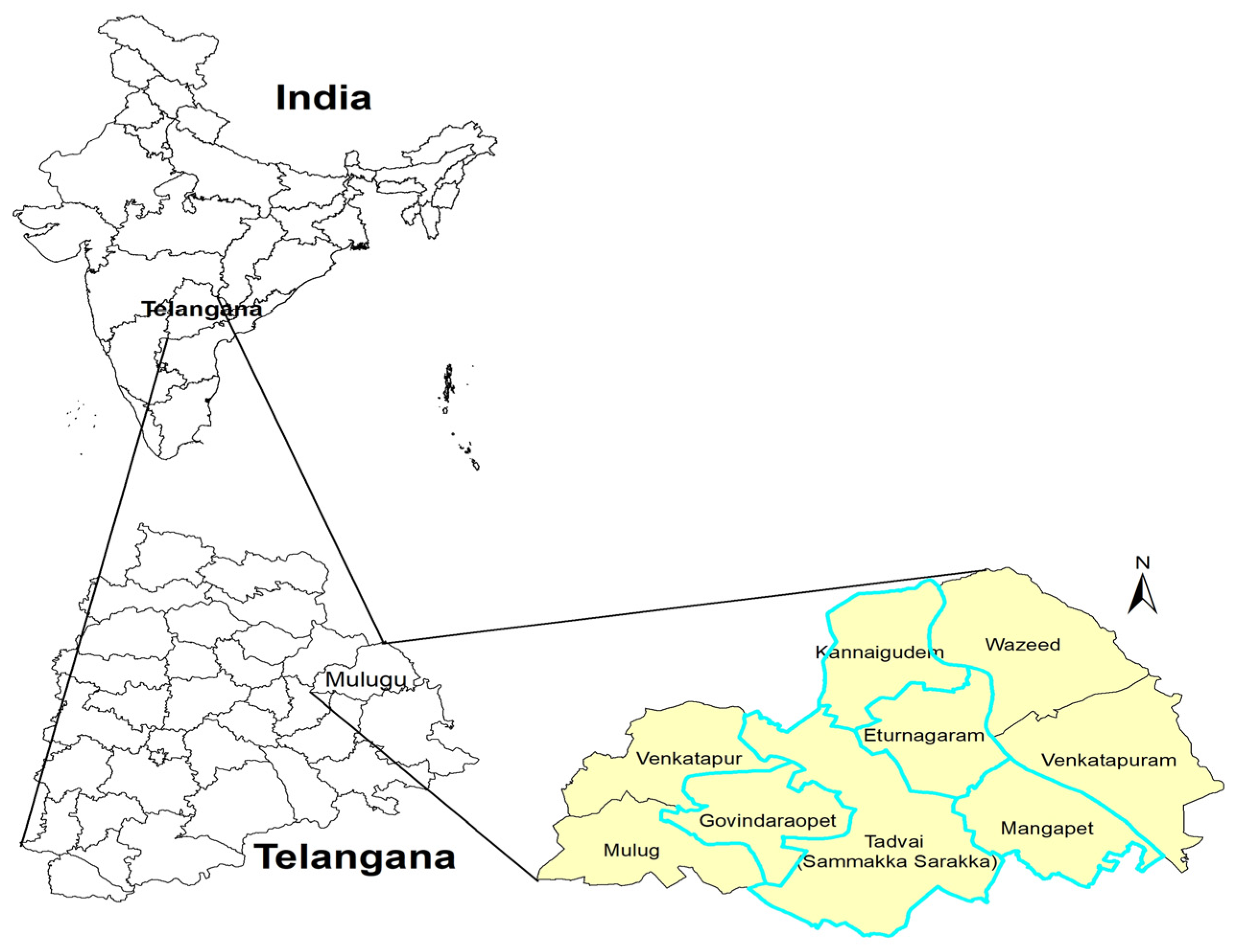 Nutrients 16 00819 g002