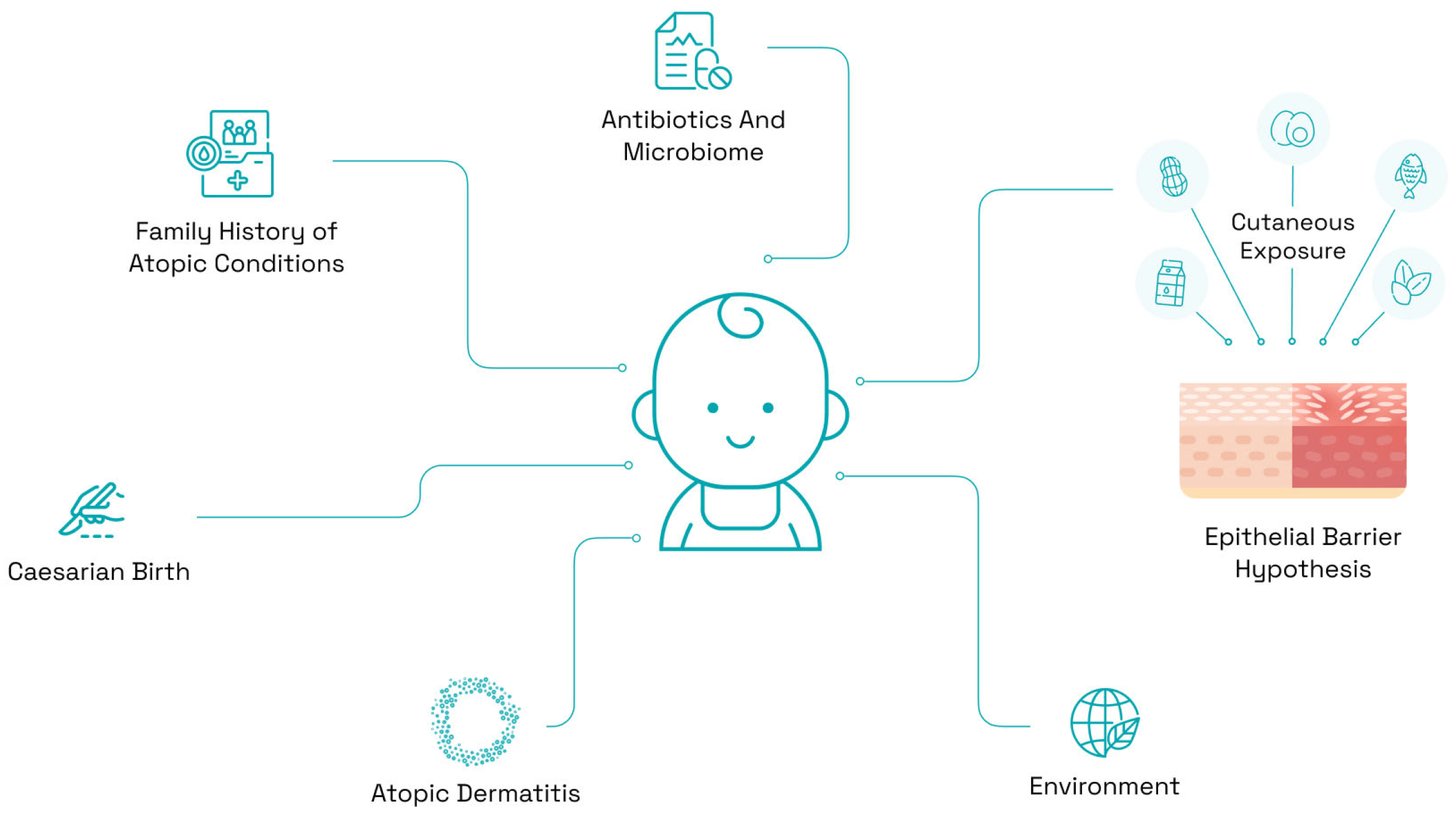 Nutrients 16 00838 g001 Nutrients 16 00838 g001