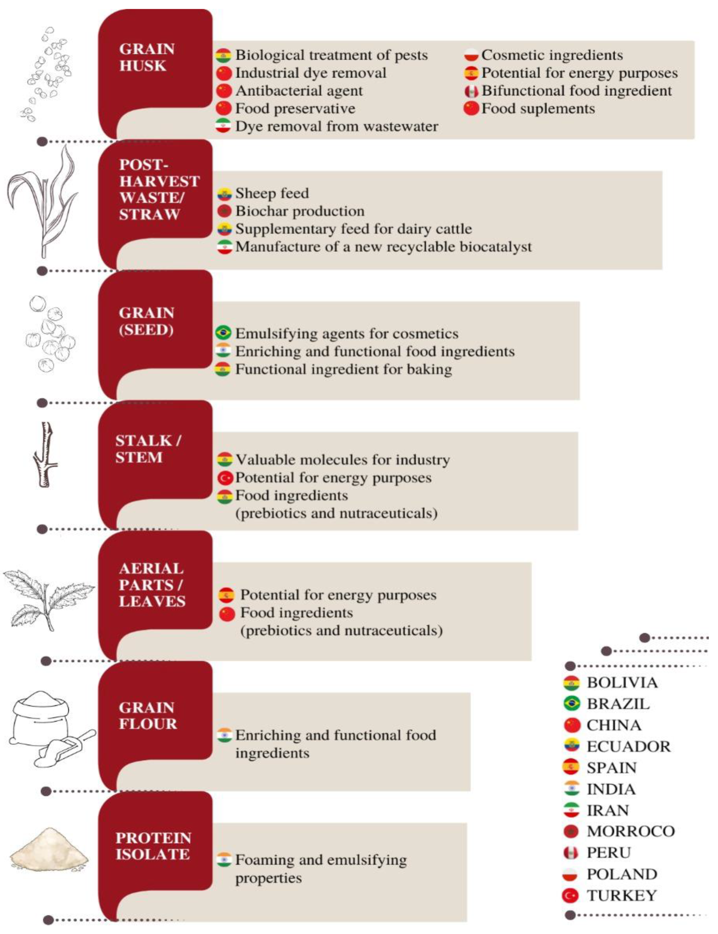 Nutrients 16 00840 g002
