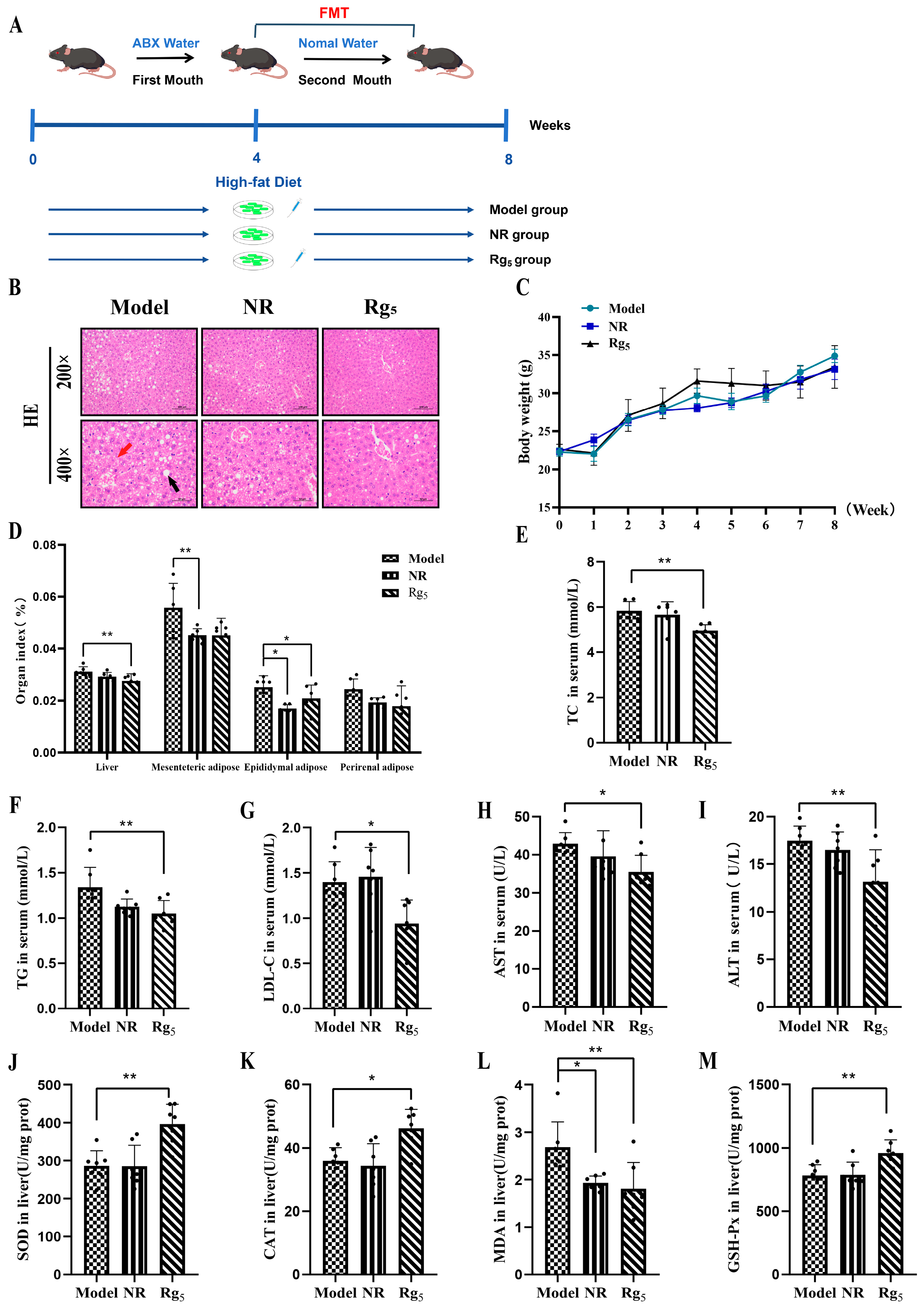 Nutrients 16 00842 g005