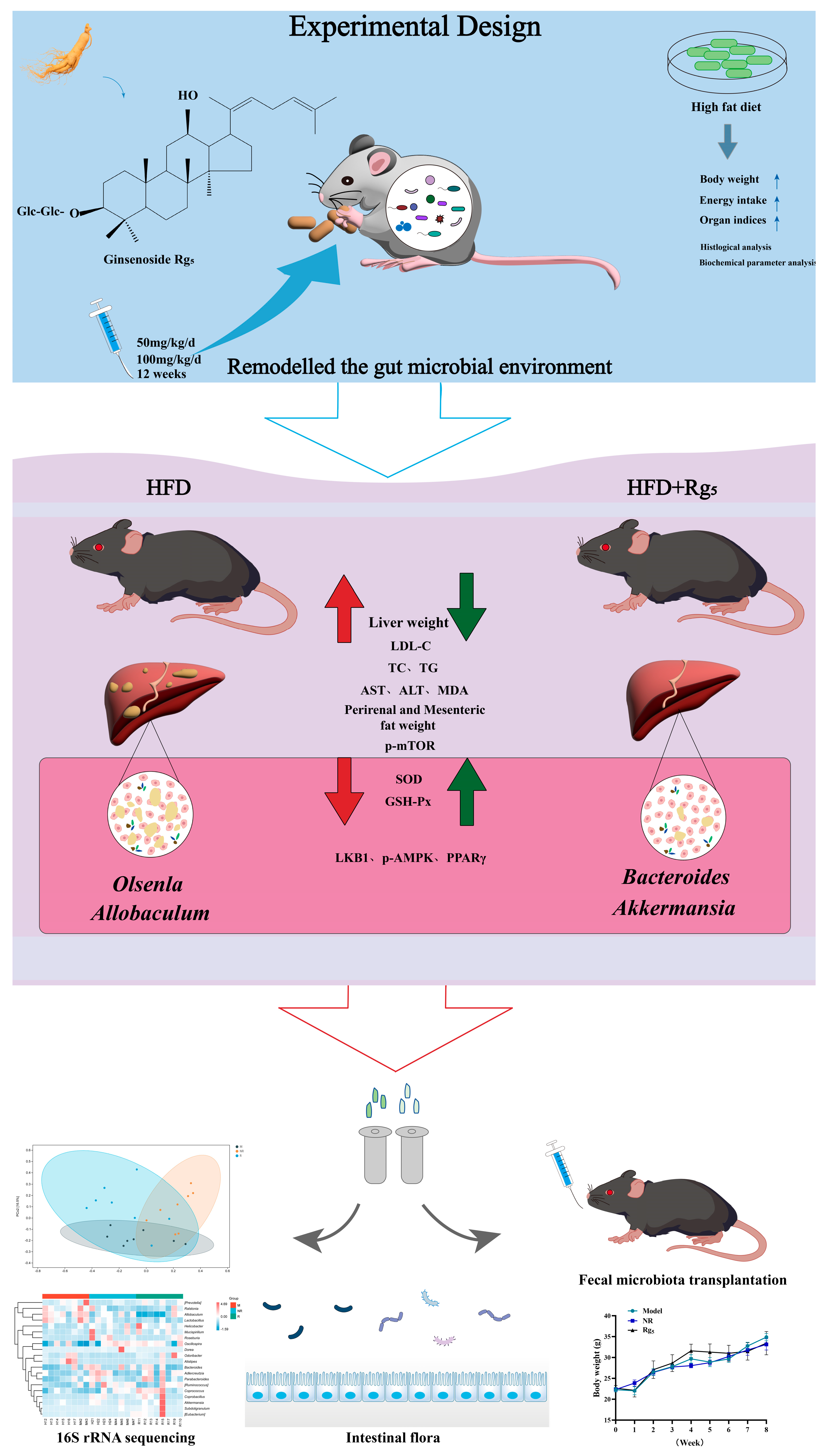 Nutrients 16 00842 g007