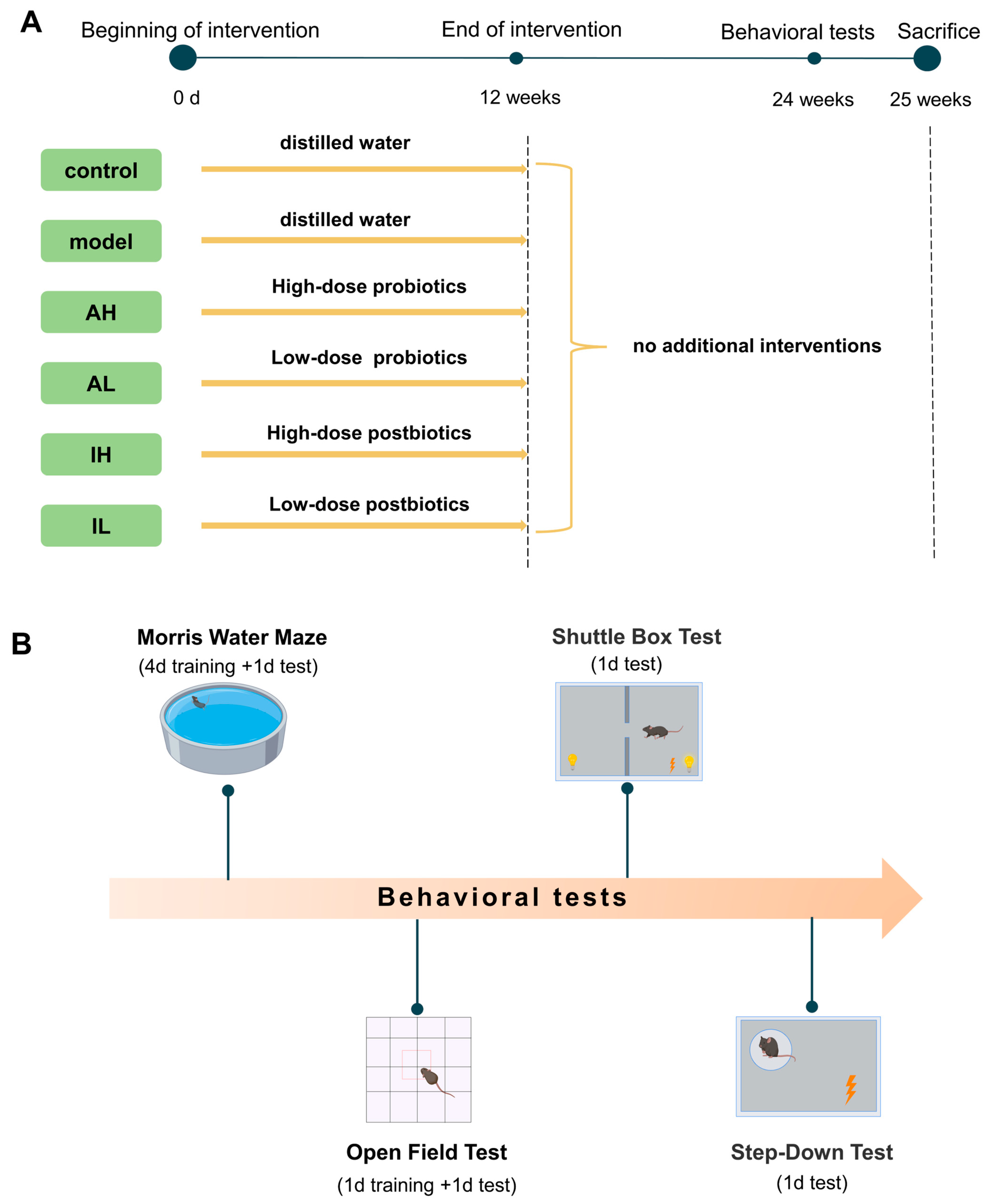 Nutrients 16 00844 g001