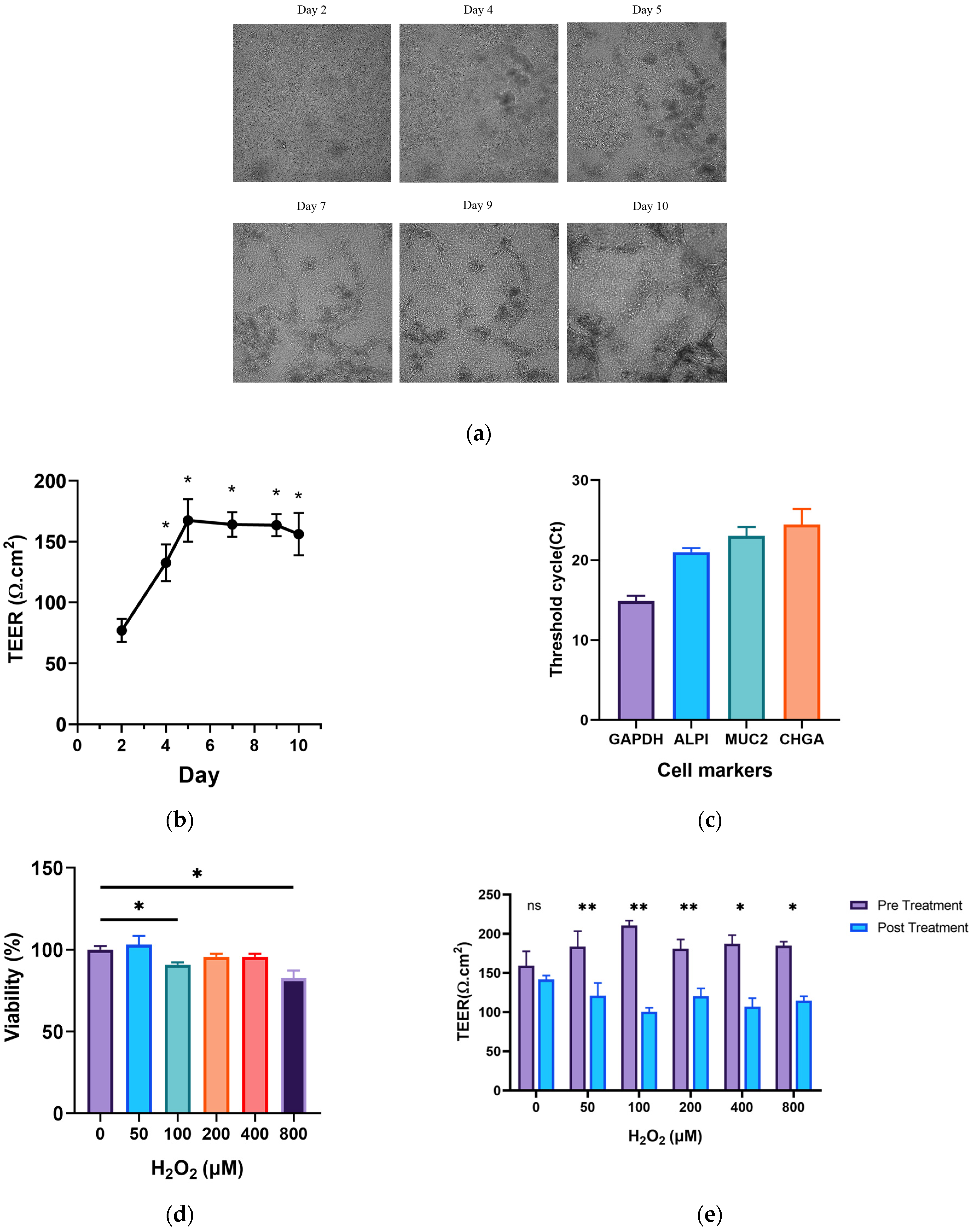 Nutrients 16 00845 g001a