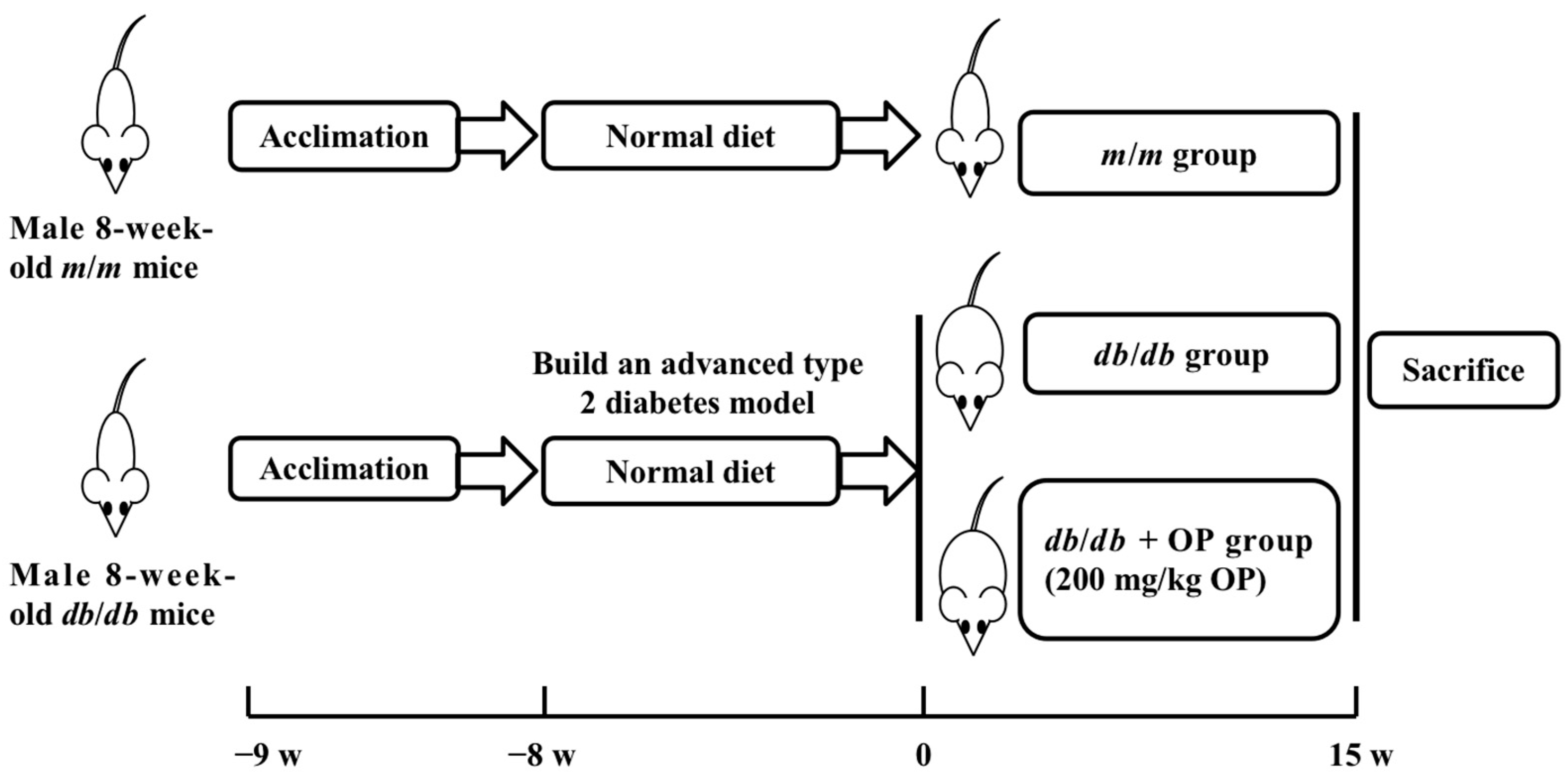 Nutrients 16 00848 g001 Nutrients 16 00848 g001