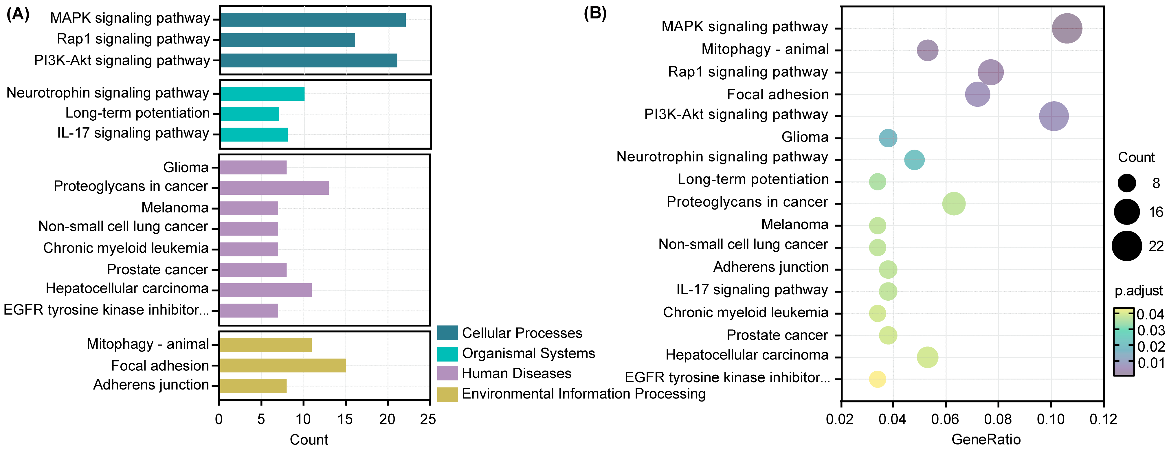 Nutrients 16 00873 g008