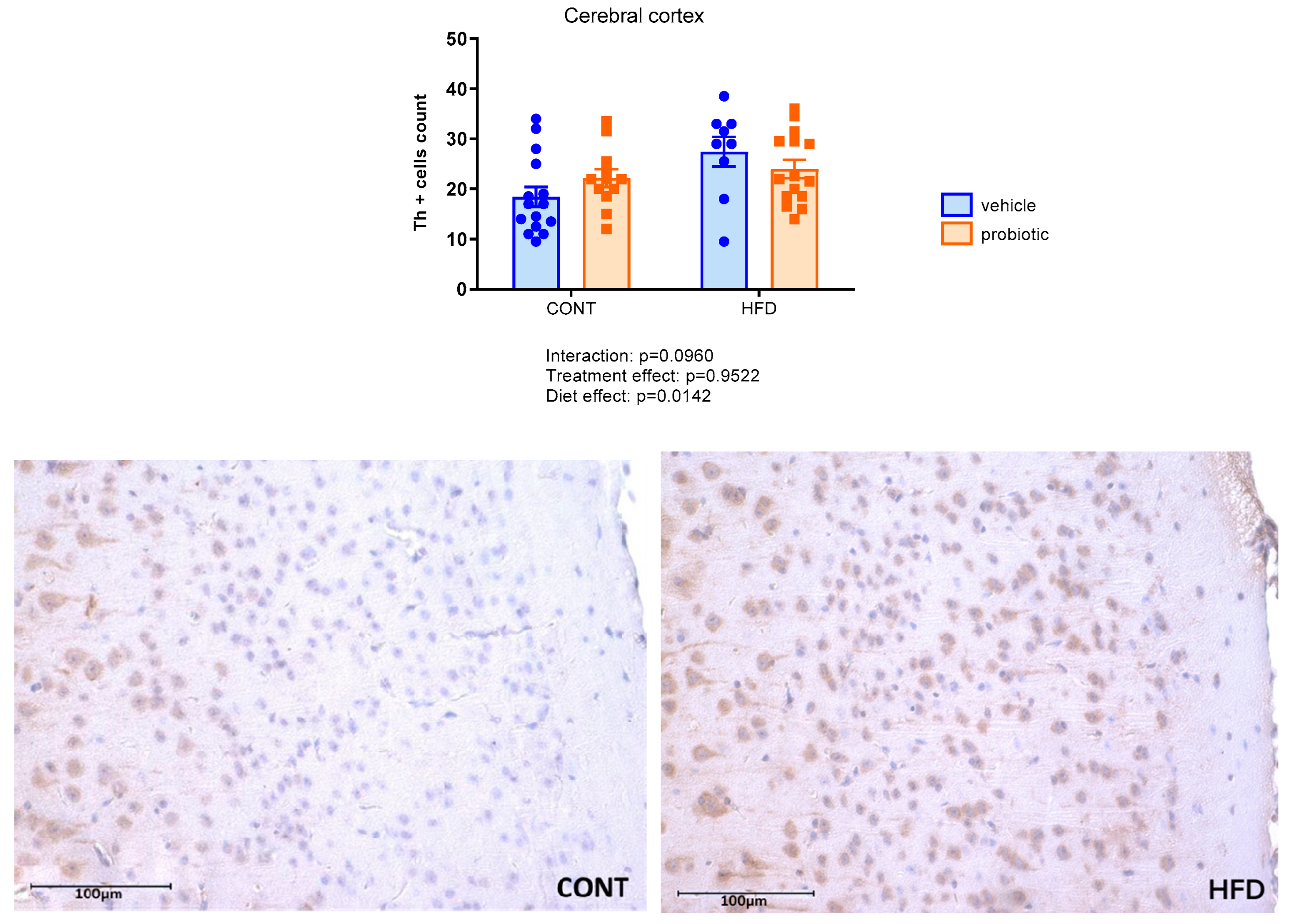 Nutrients 16 00879 g004