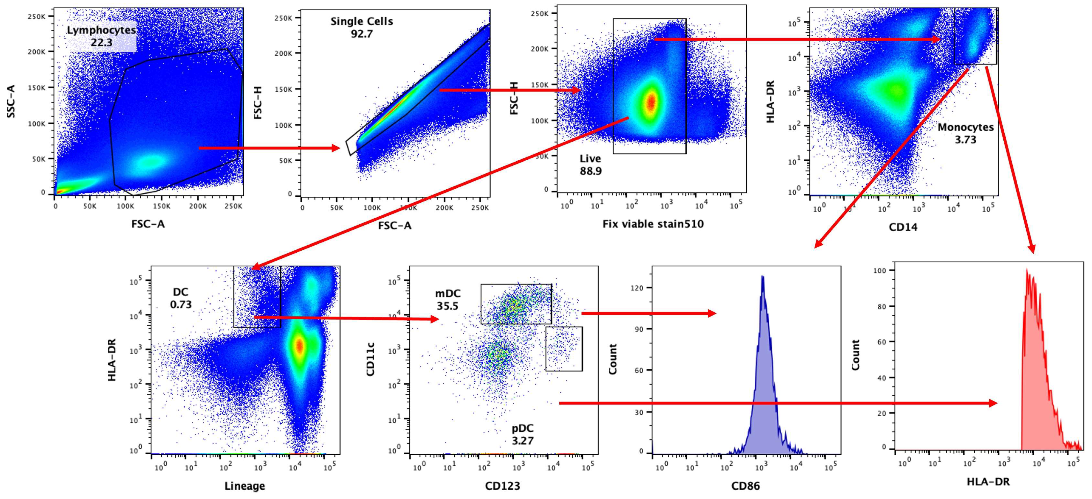 Nutrients 16 00881 g001 Nutrients 16 00881 g001