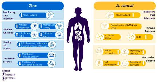 ai　30点 ヨサ KAWASAKI ニンジャ 1000 (Z1000SX)「Ninja1000 チェーン