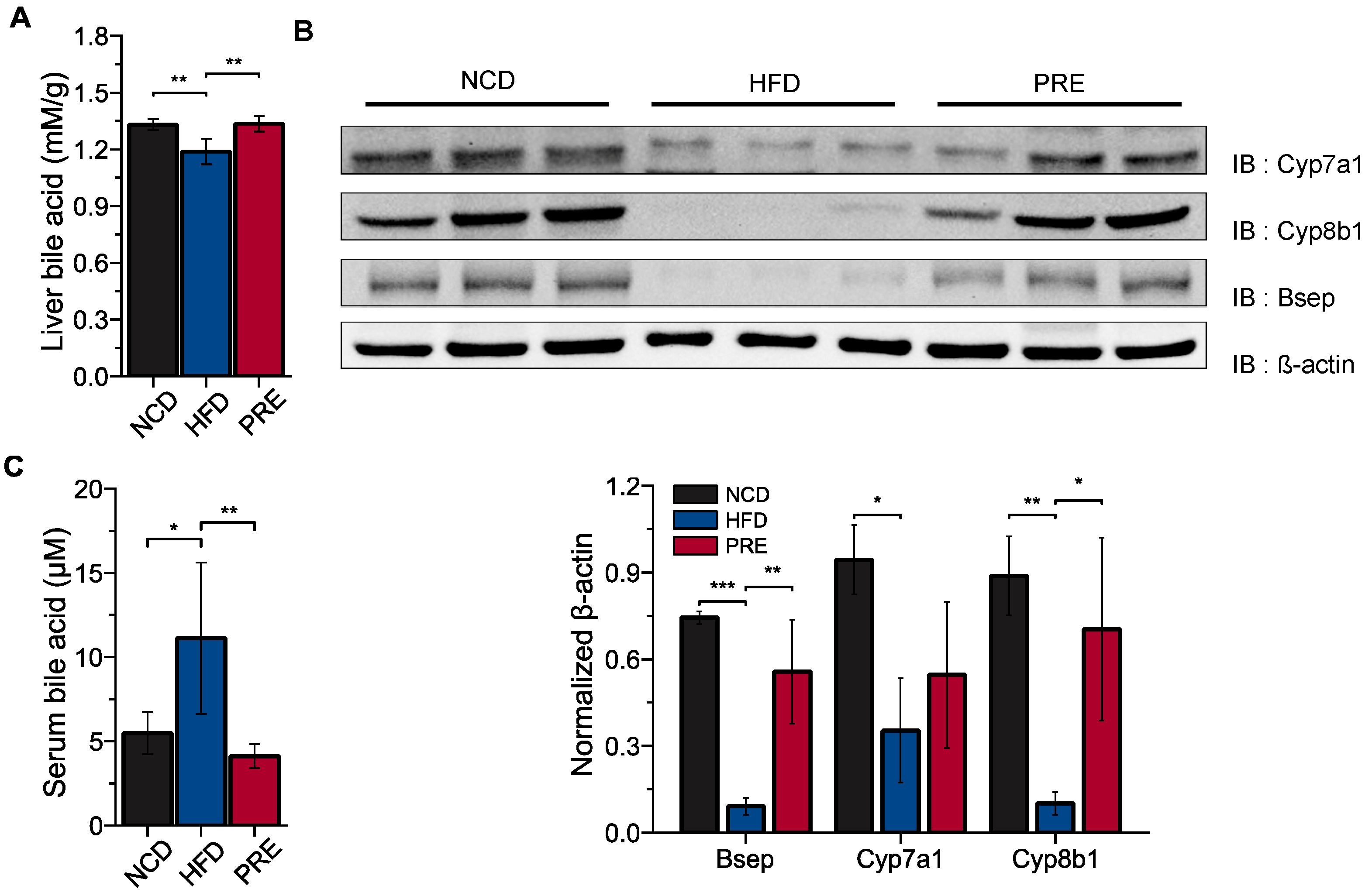 Nutrients 16 00893 g004