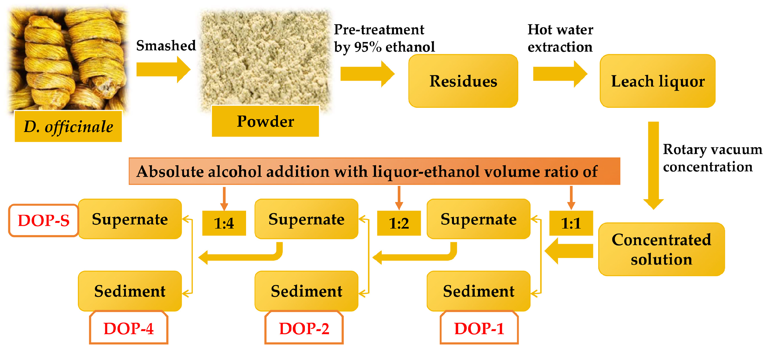 Nutrients 16 00897 g001