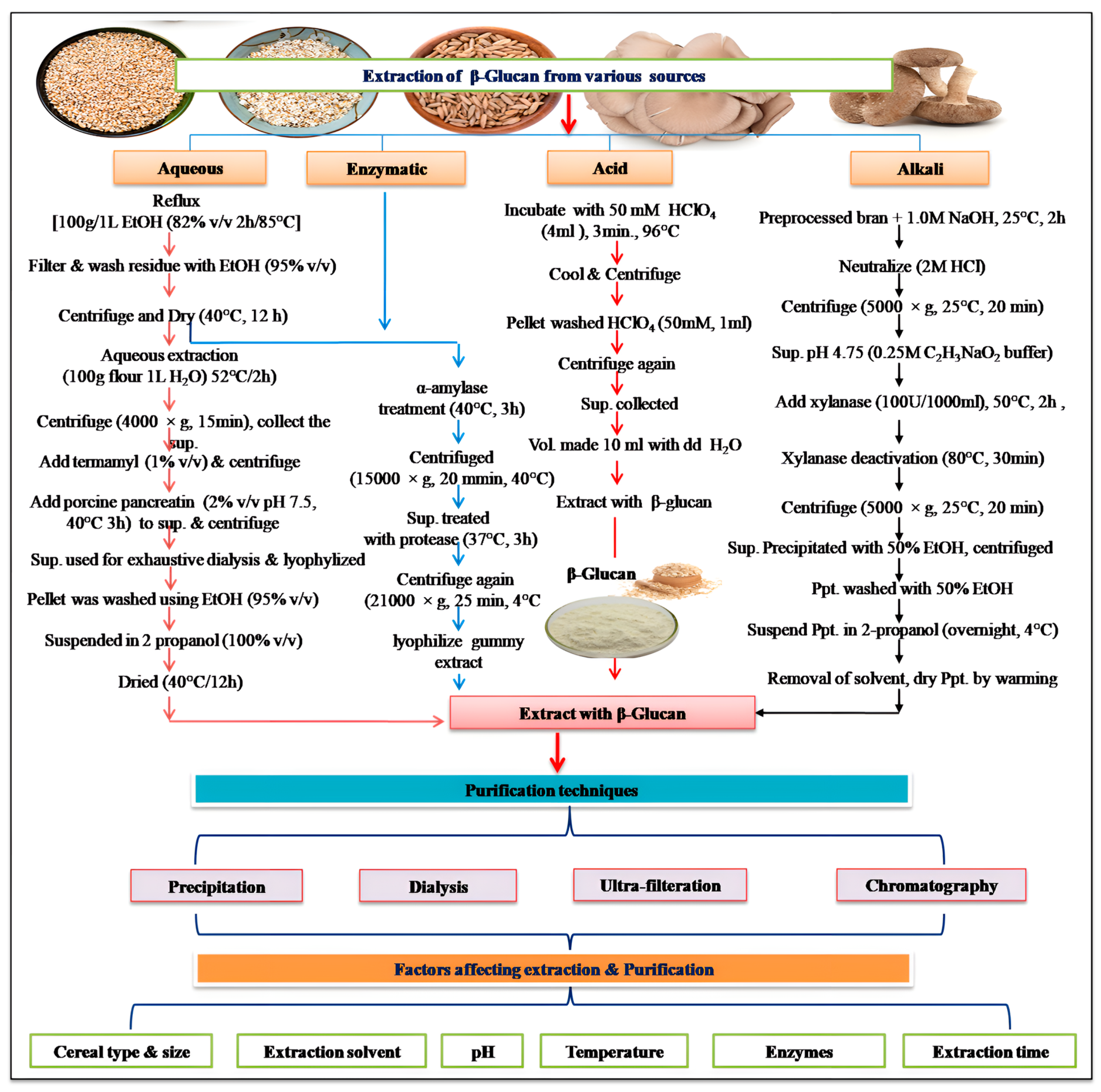 Nutrients 16 00900 g003