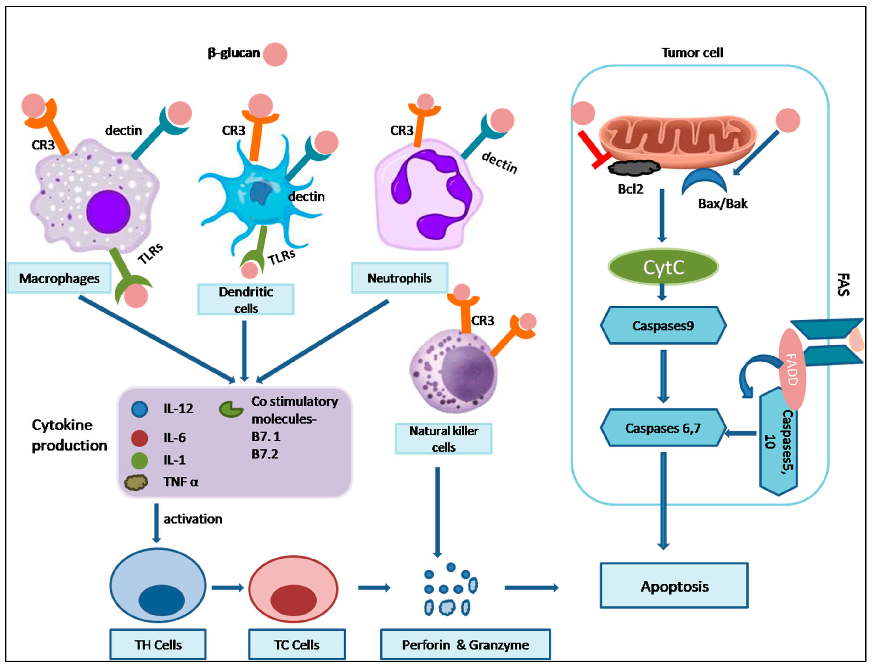 Nutrients 16 00900 g005