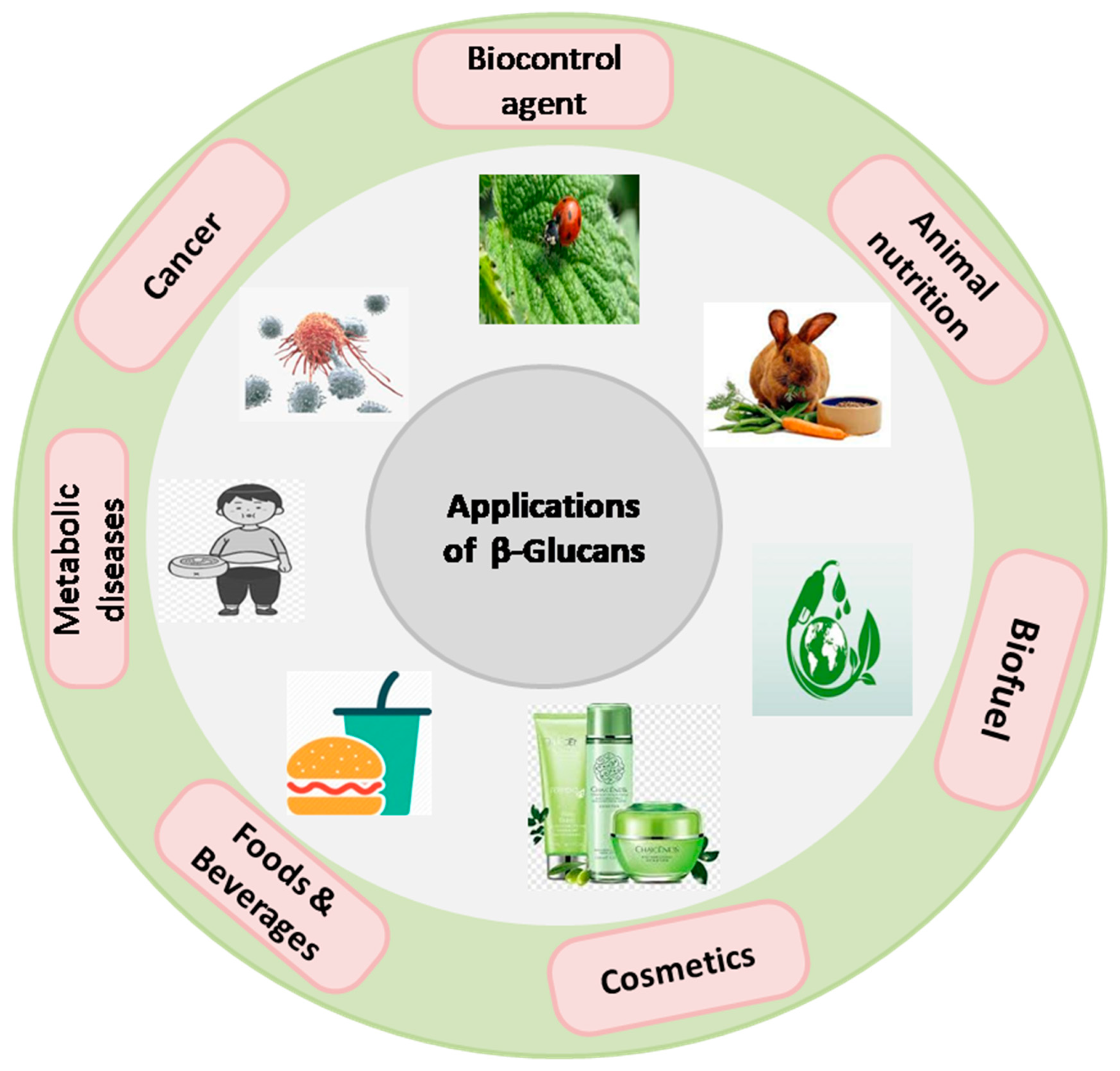 Nutrients 16 00900 g006