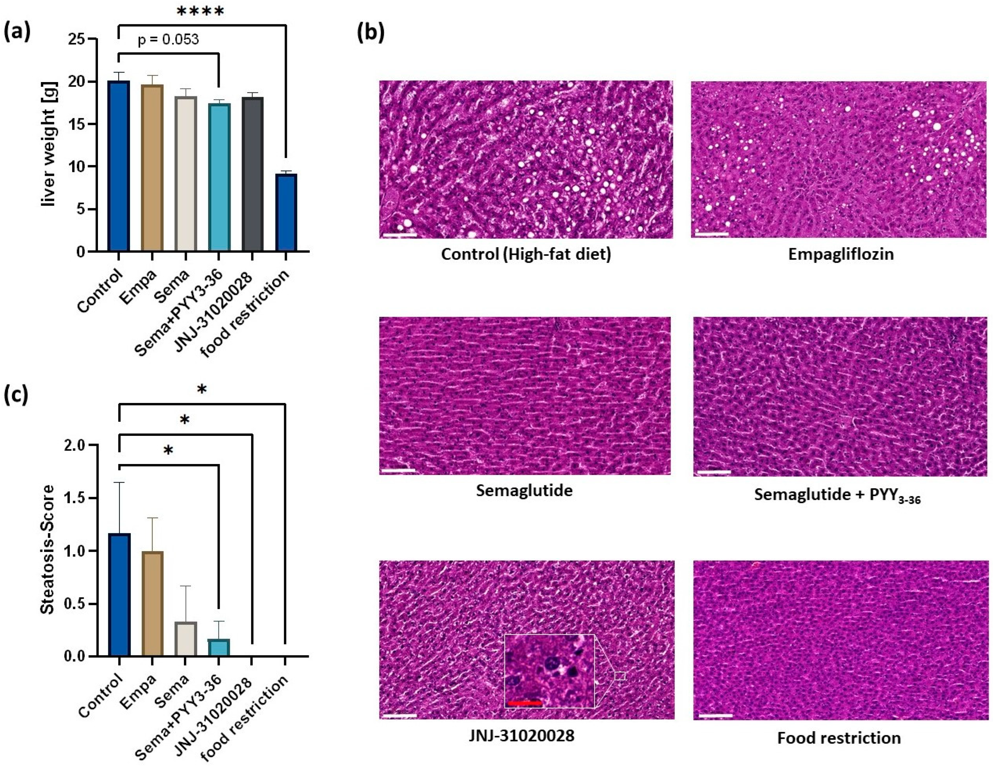 Nutrients 16 00904 g002