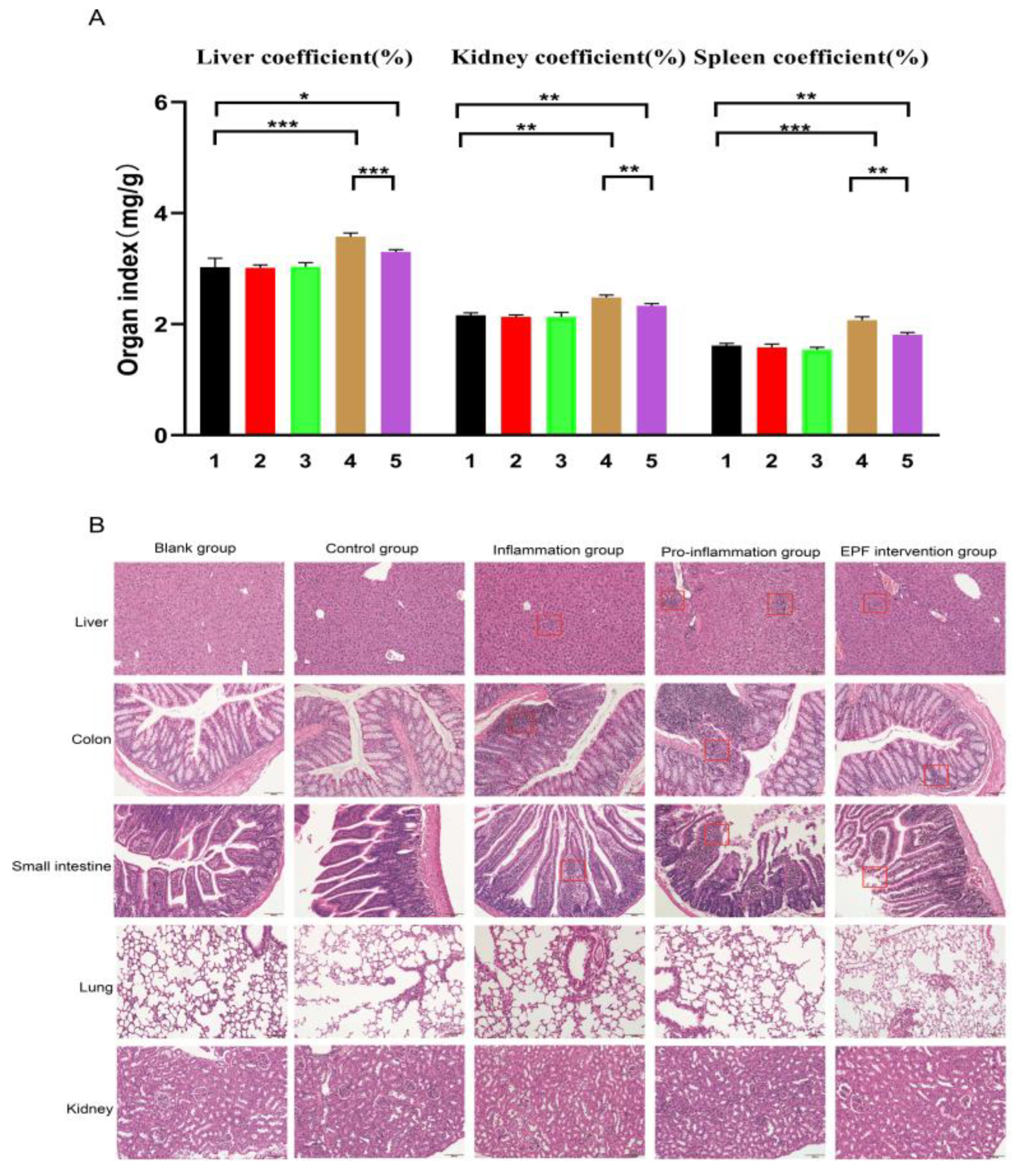 Nutrients 16 00905 g005 Nutrients 16 00905 g005
