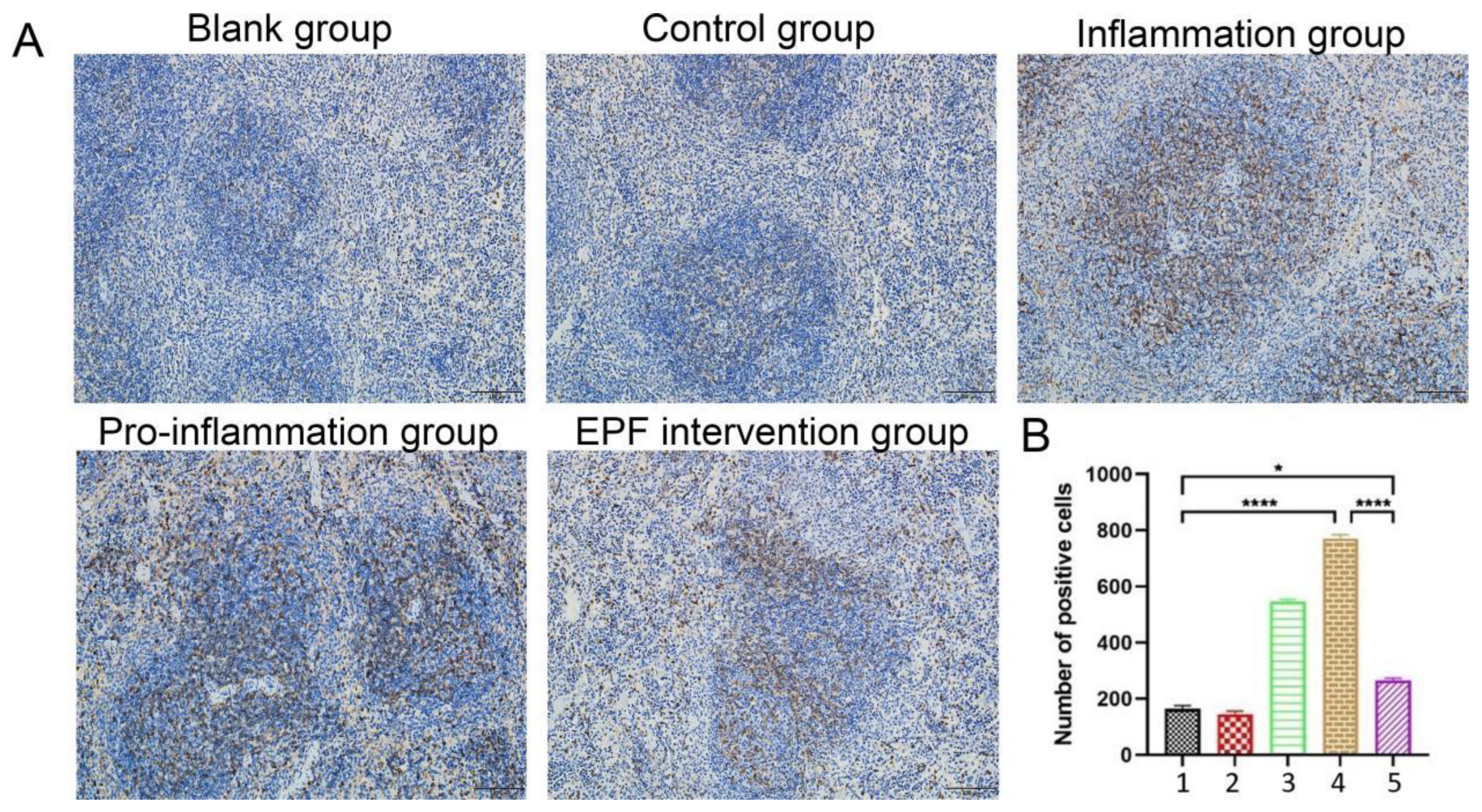 Nutrients 16 00905 g006 Nutrients 16 00905 g006
