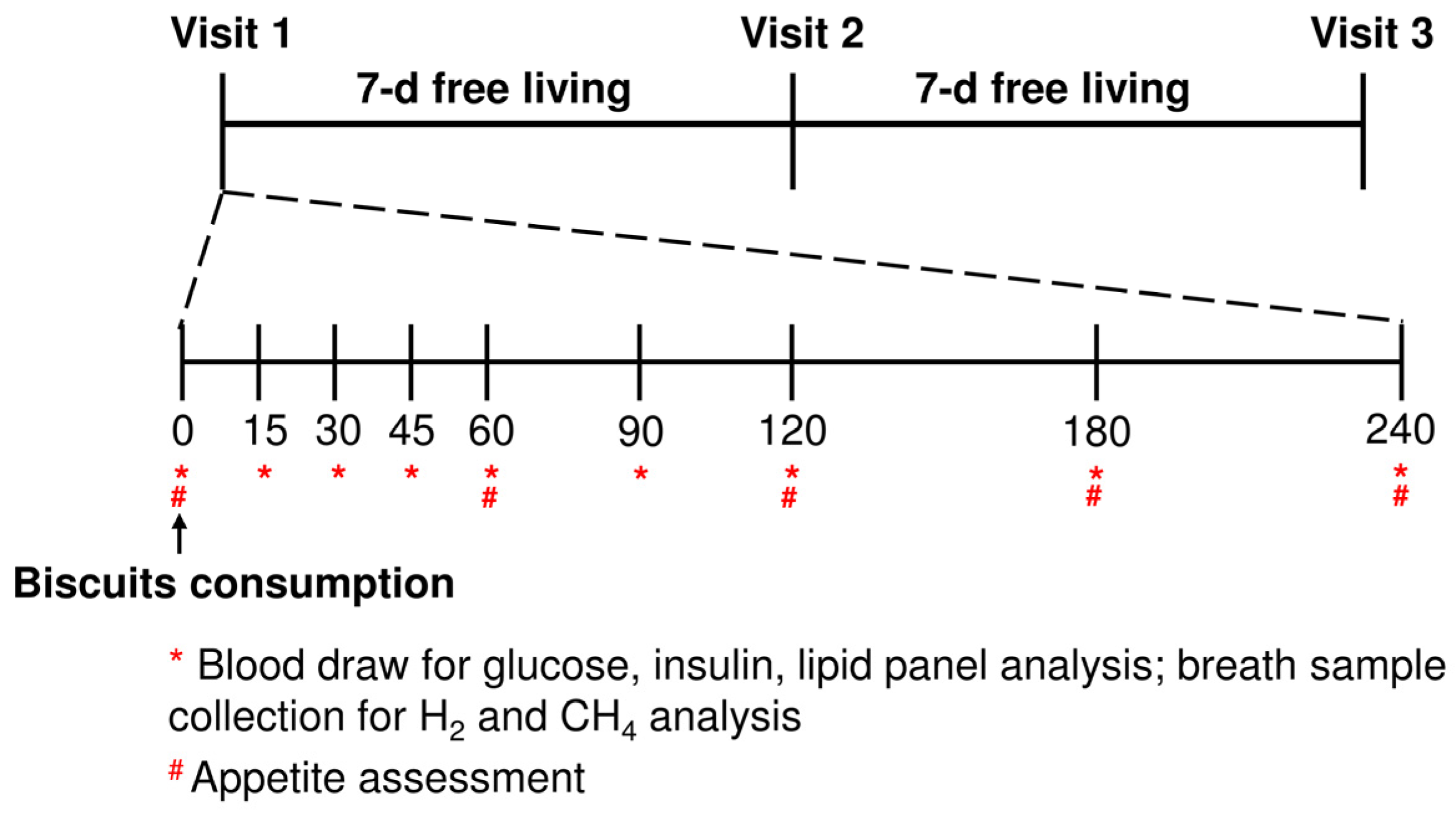 Nutrients 16 00909 g002 Nutrients 16 00909 g002