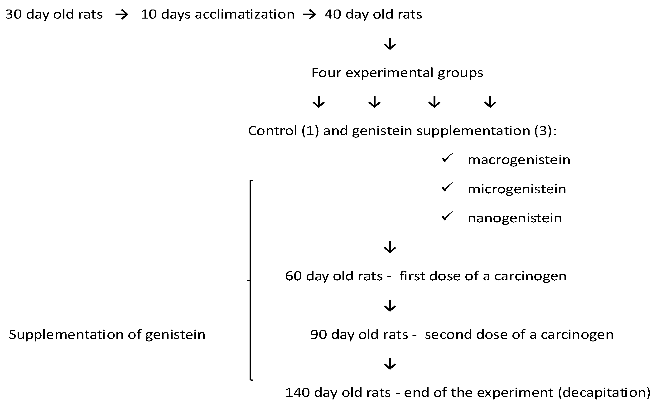 Nutrients 16 00912 g001
