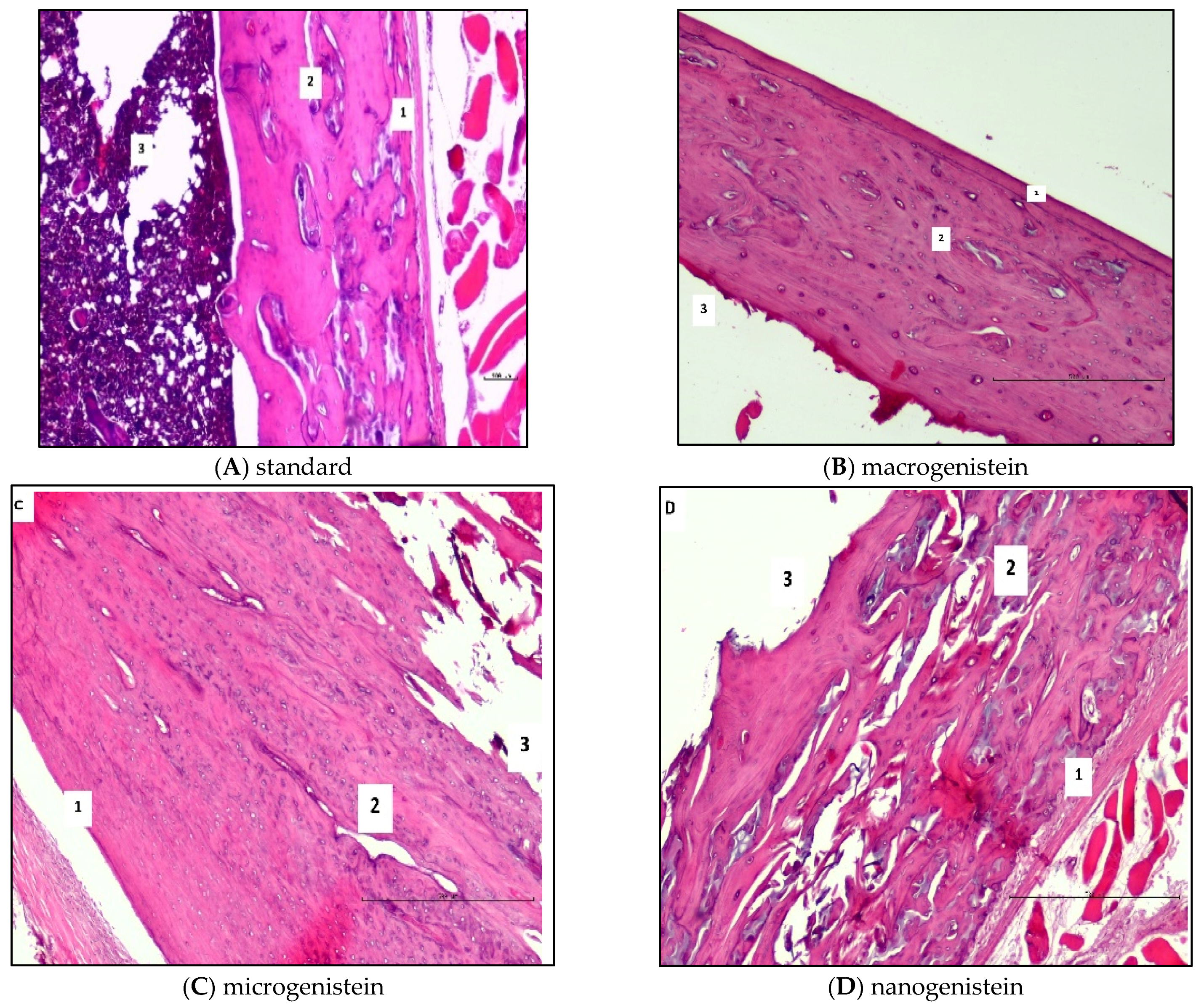 Nutrients 16 00912 g002