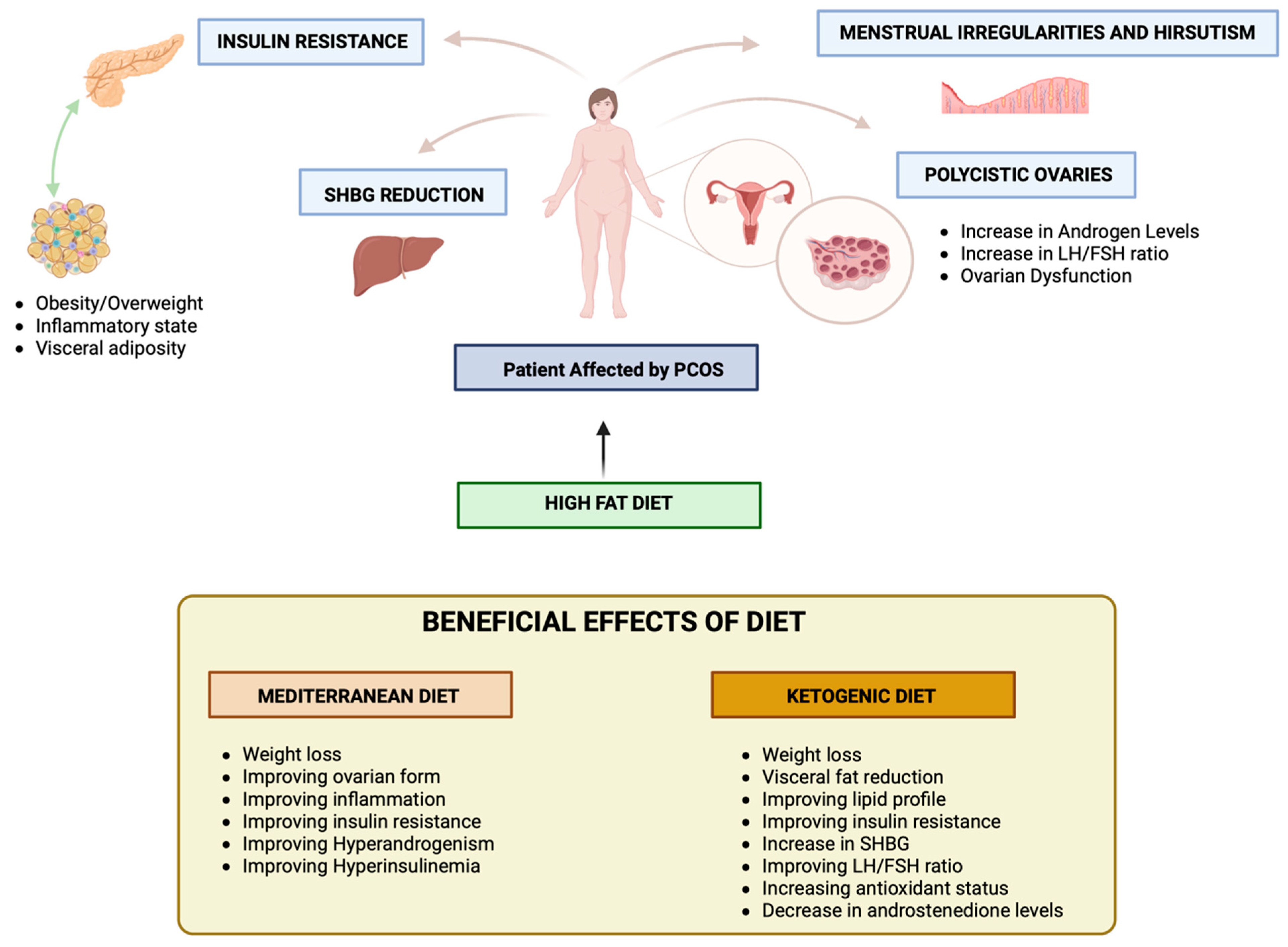 Nutrients 16 00938 g003