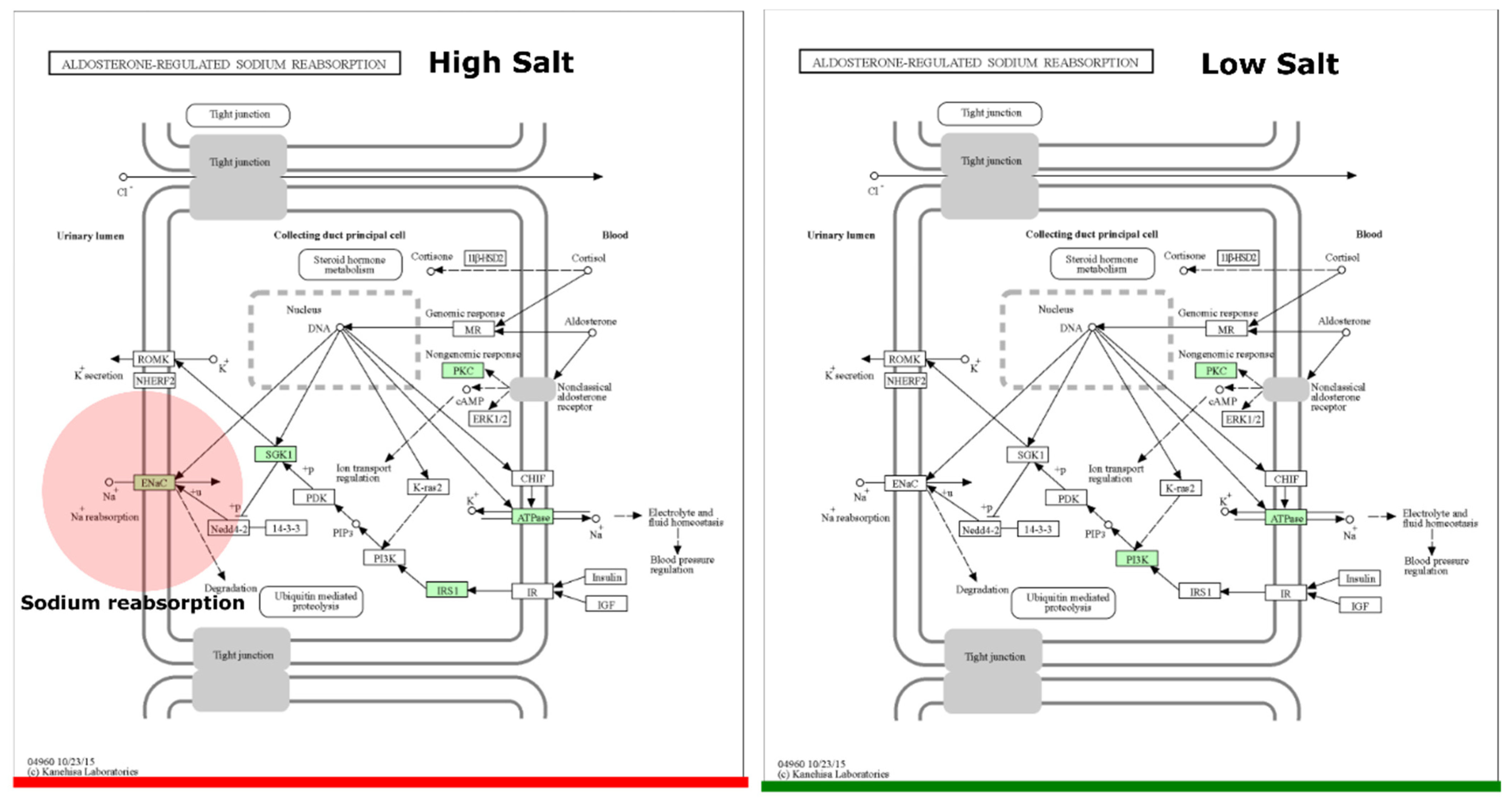 Nutrients 16 00942 g006