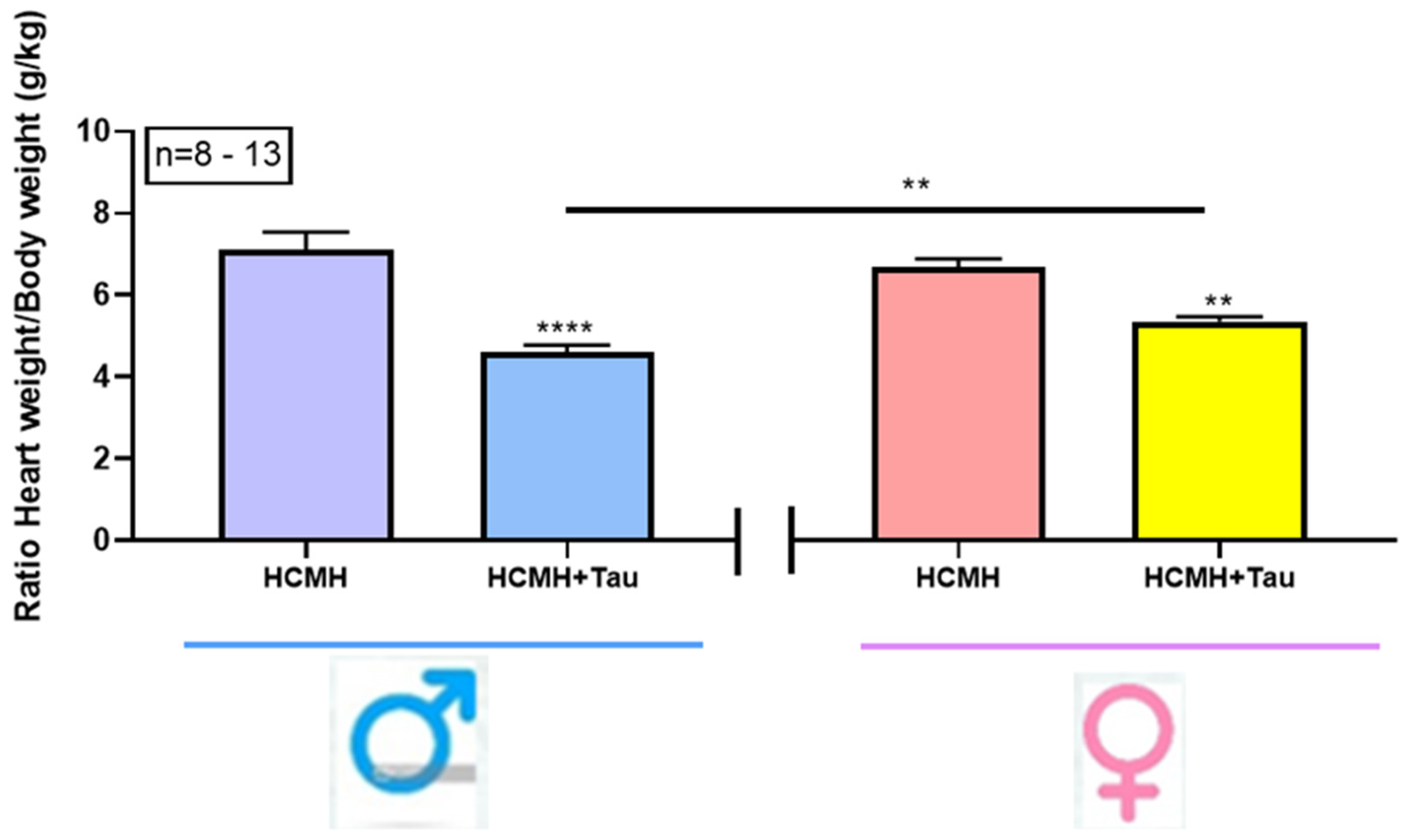 Nutrients 16 00946 g001